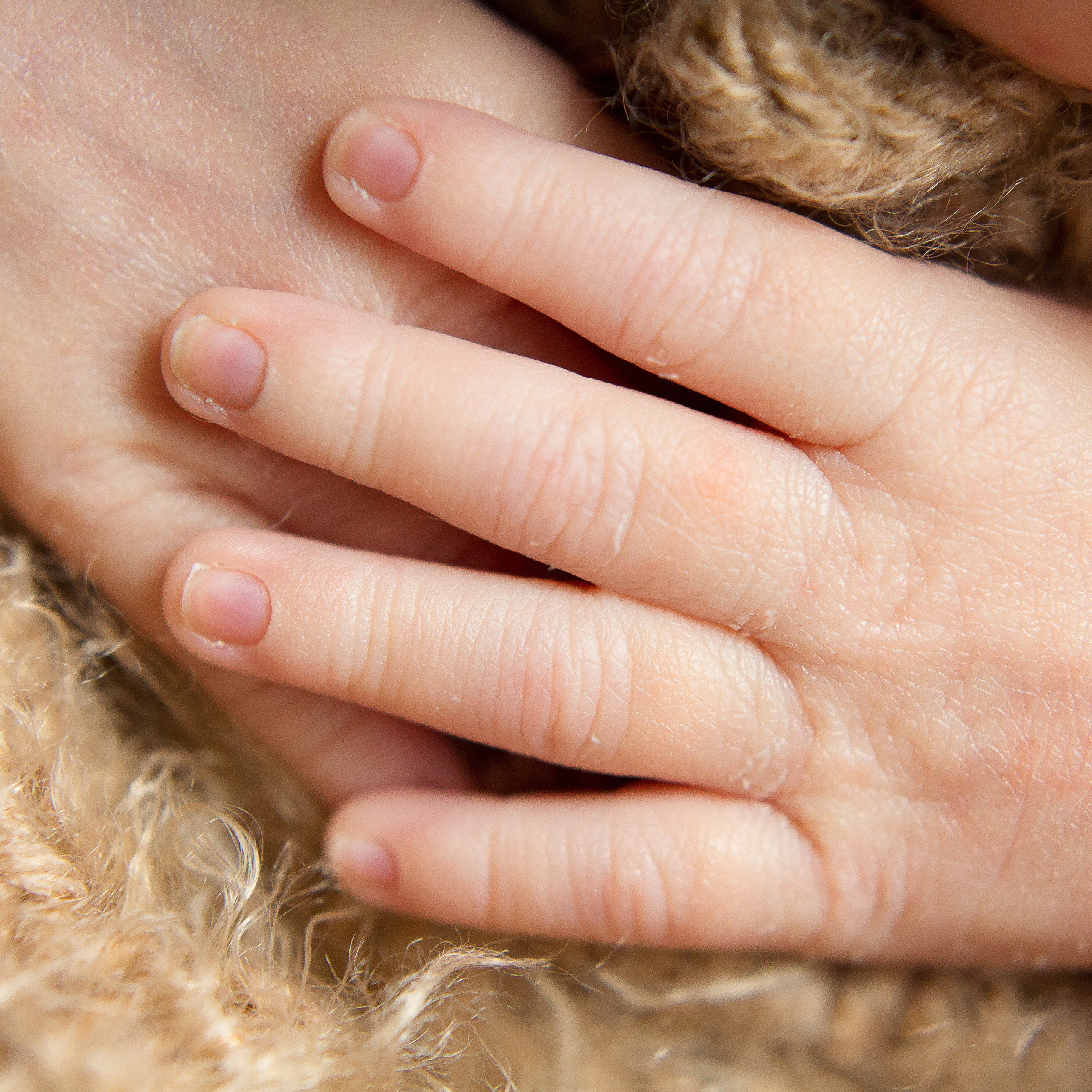 Фотосессия новорождённых мальчиков. Фотограф новорожденных в г. Миасс Анна Плотникова