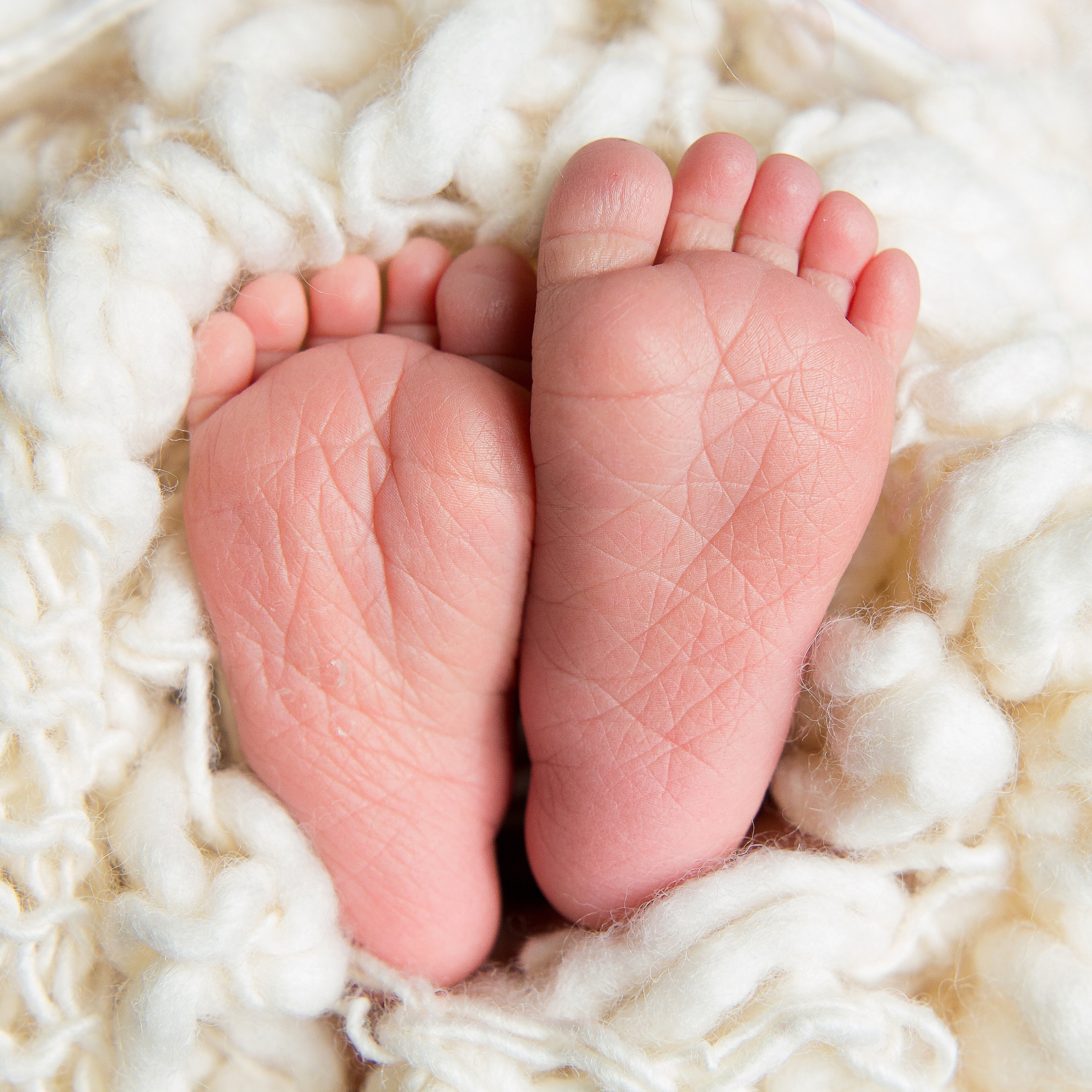 Фотосессия новорождённых мальчиков. Фотограф новорожденных в г. Миасс Анна Плотникова