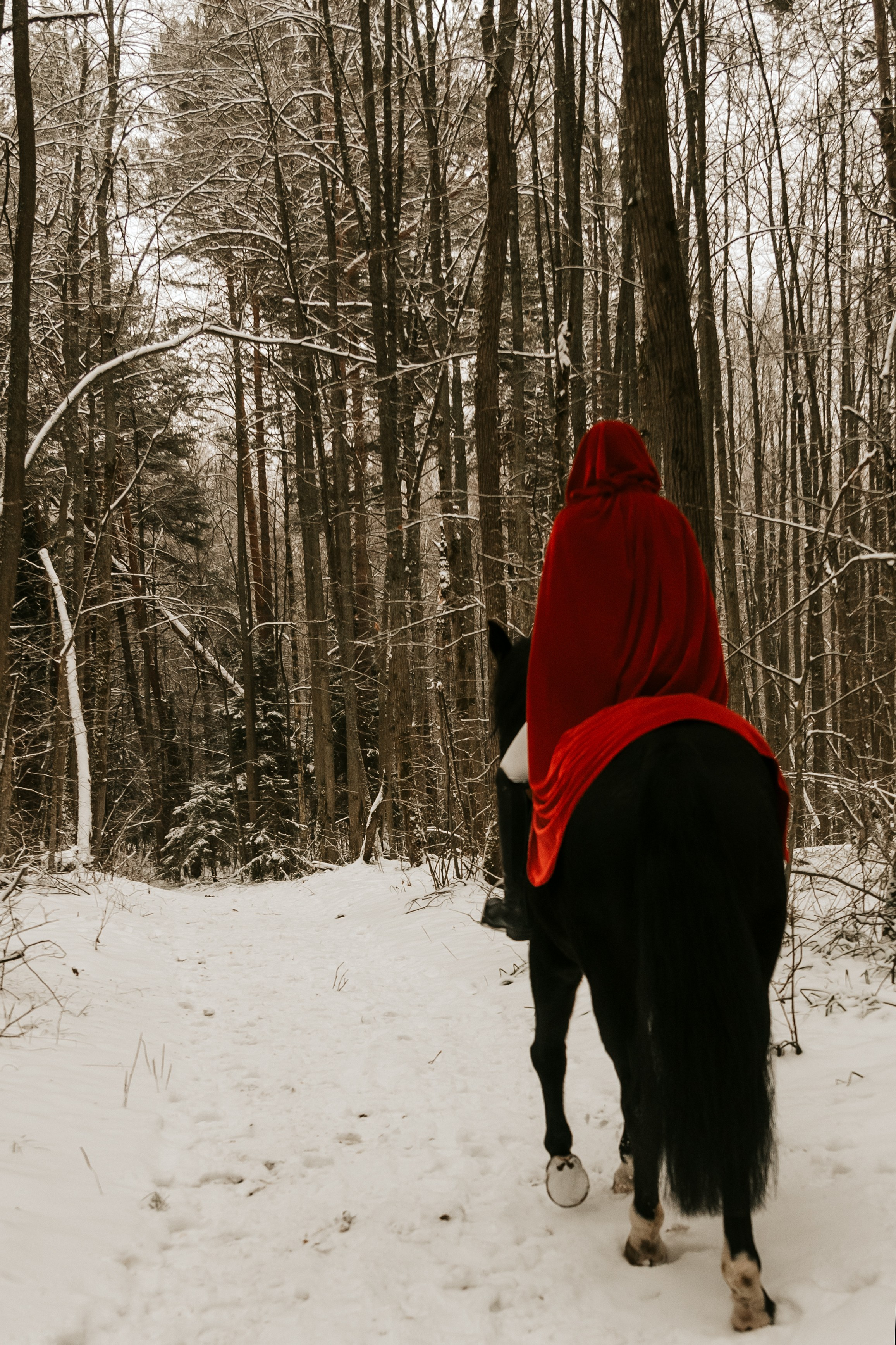 Индивидуальные съемки на природе. Индивидуальные, семейные, студийные съемки в Серпухове и за пределами
