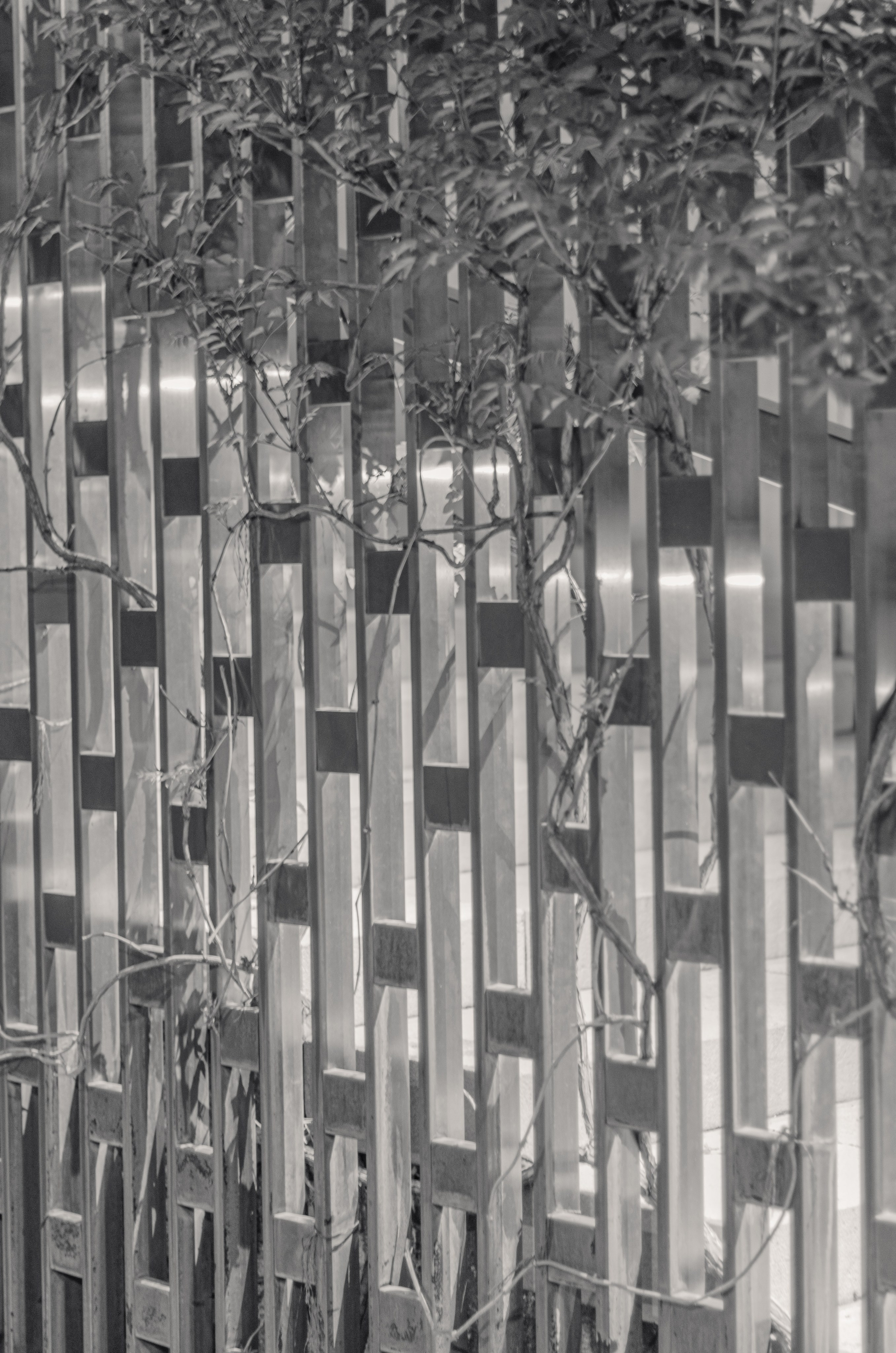 Краснодар. Фотосессия в парке Галицкого