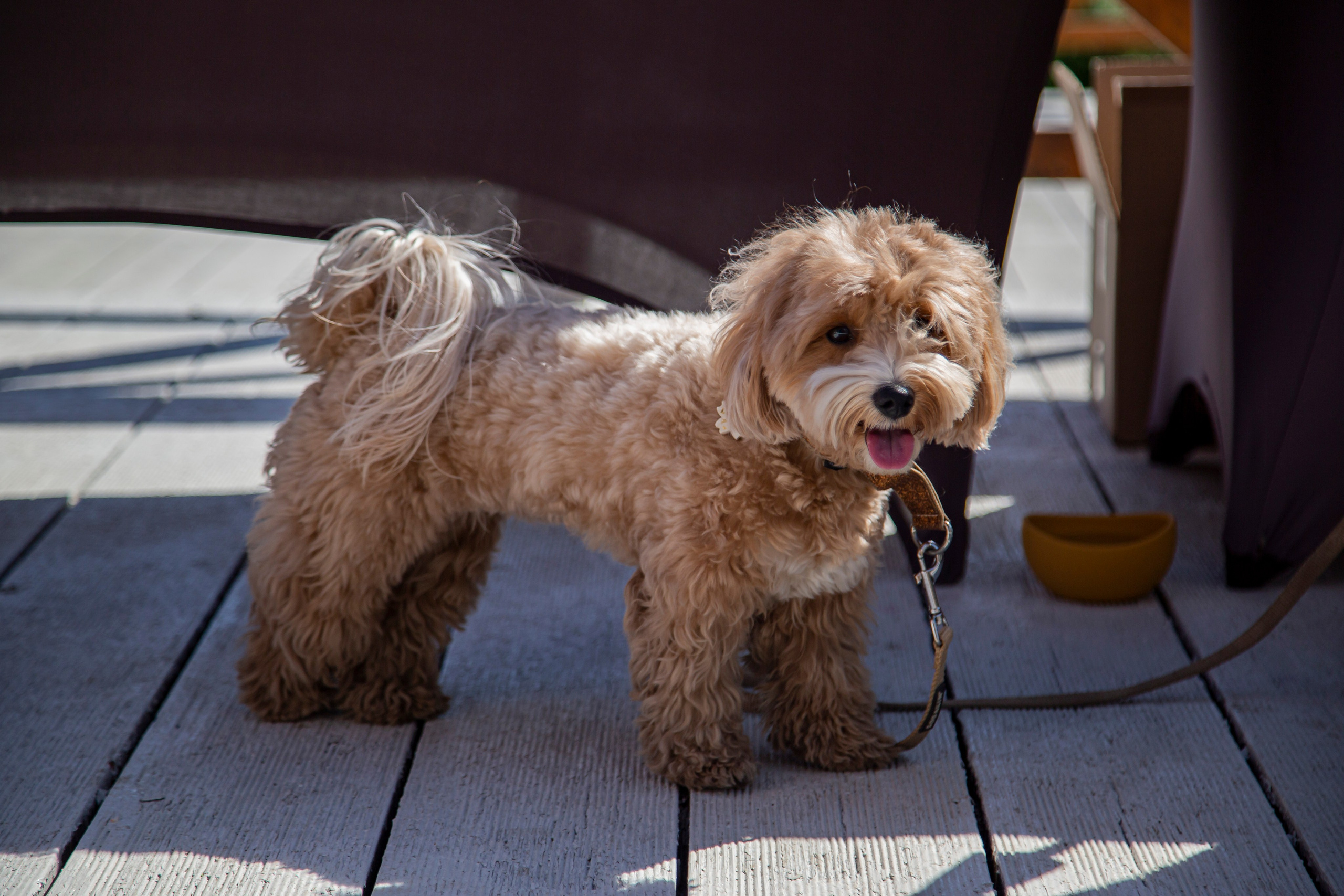 Юбилей. 𝓕𝓸𝓽𝓸𝓰𝓻𝓪𝓯 𝓑𝓪𝓵𝓪𝓼𝓱𝓲𝓱𝓪 / 𝓜𝓸𝓼𝓴𝓿𝓪