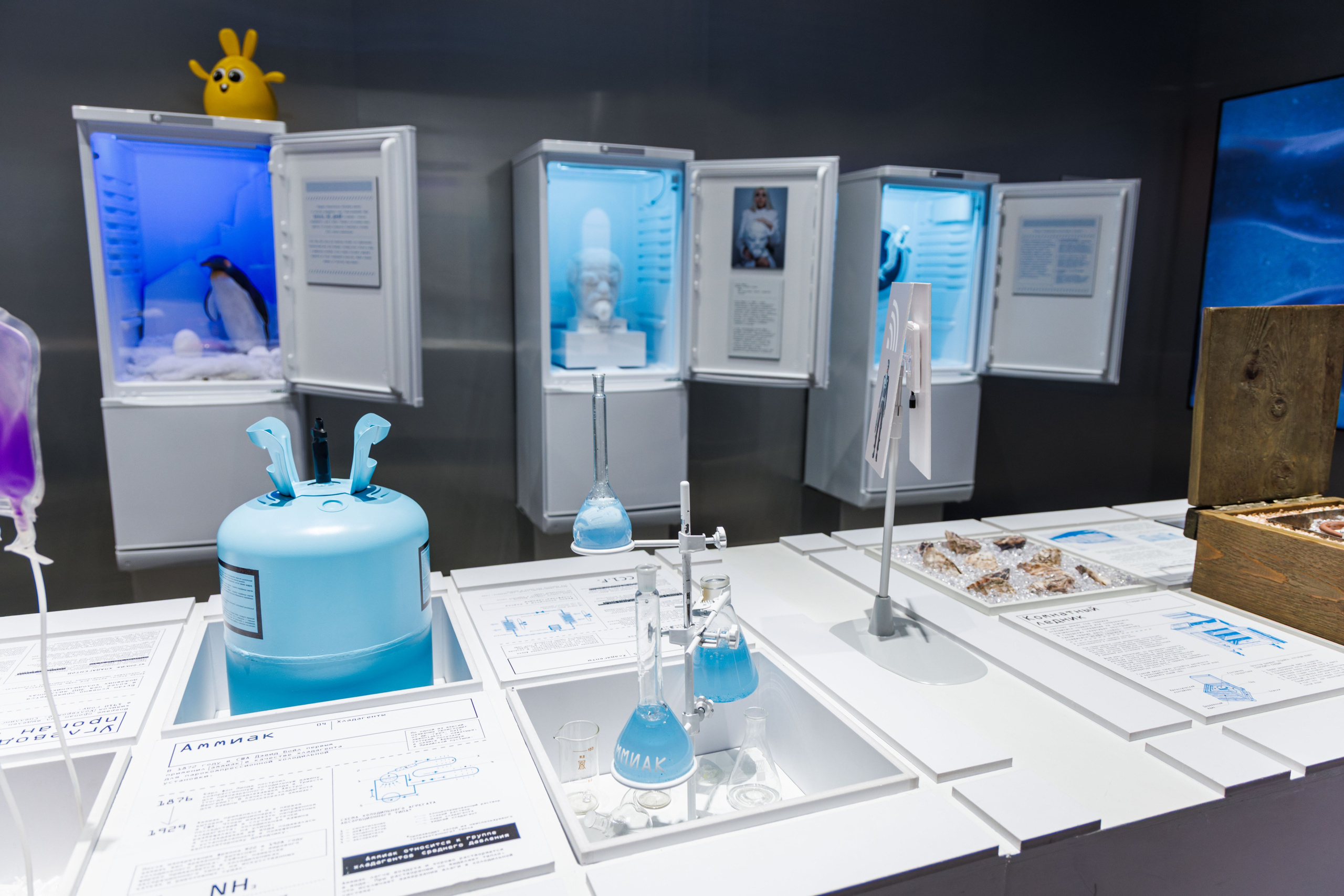 Лед. Жизнь — познавательно-развлекательная выставка. Фотограф Балаев Михаил