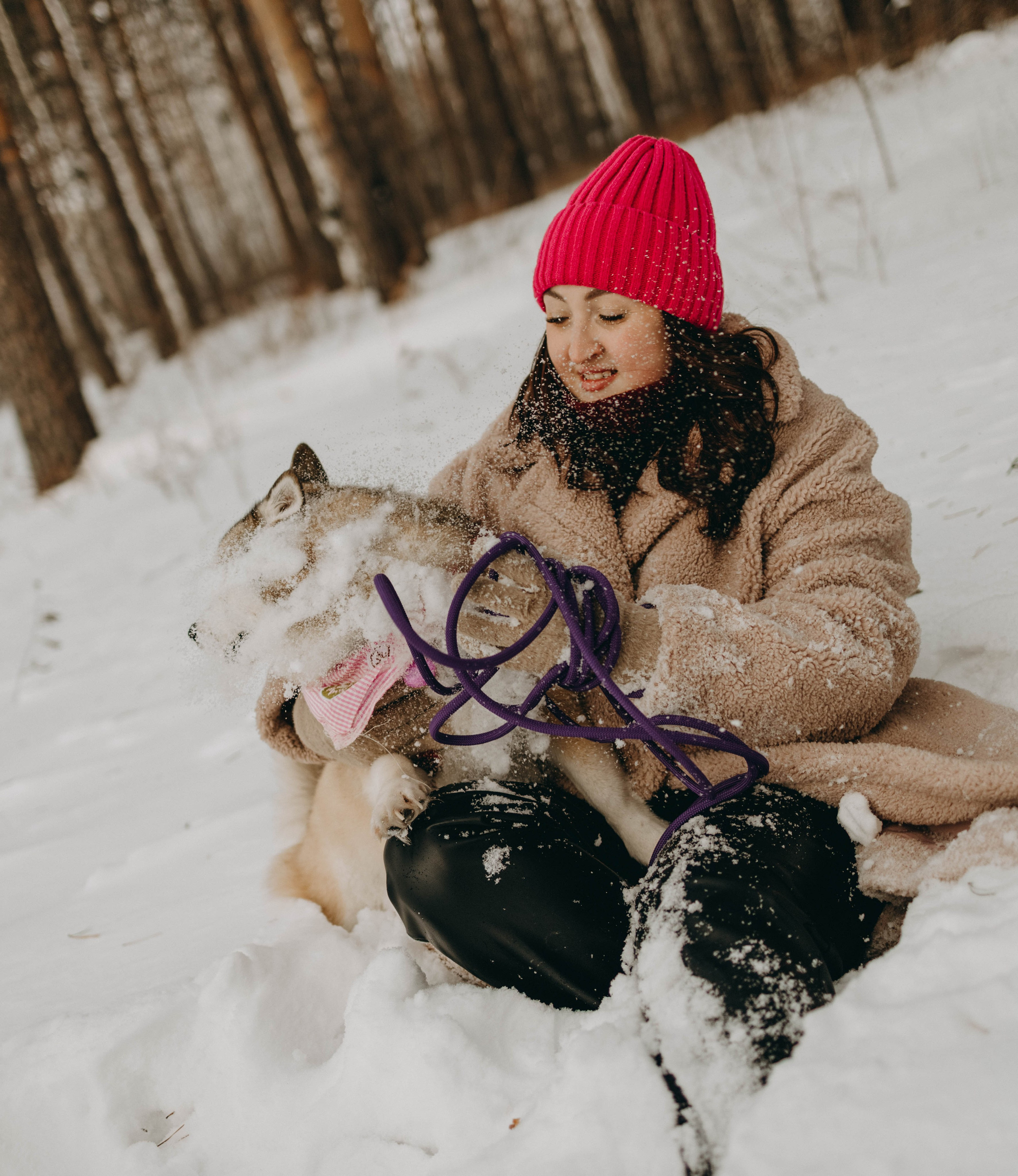 Варвара и Шелби. Фотограф-анималист в Екатеринбурге | Кристина