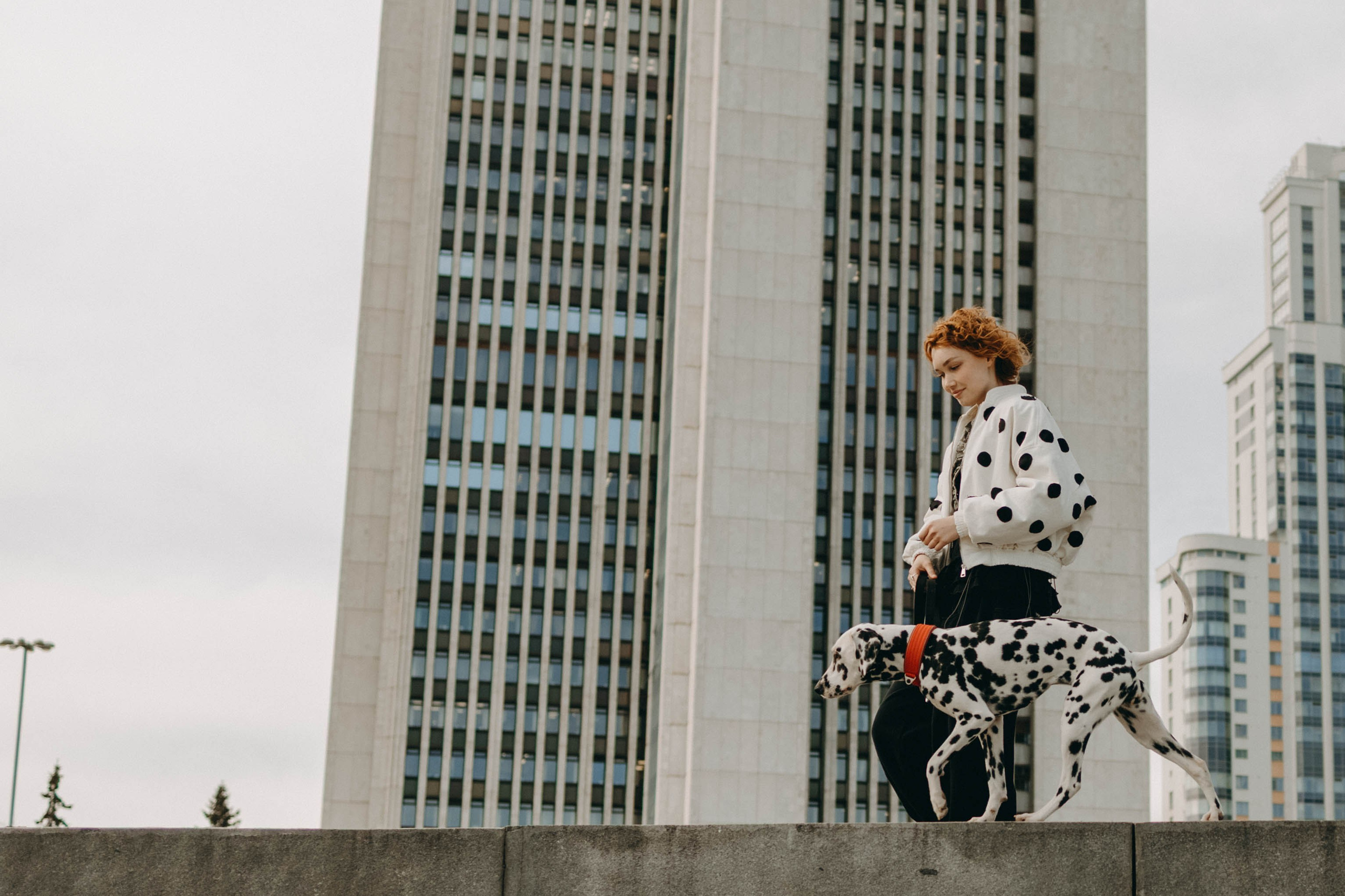 Диана и Лекса. Фотограф-анималист в Екатеринбурге | Кристина