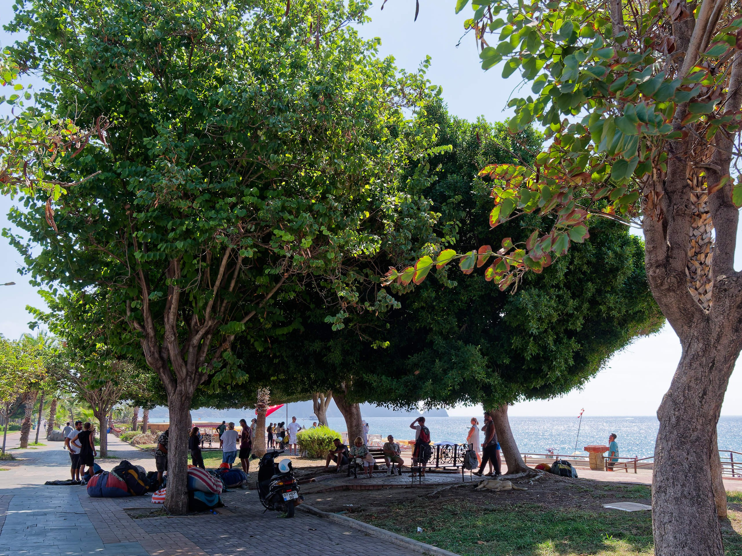 Алания 2025, город, стрит-фото. Избранные фотографии