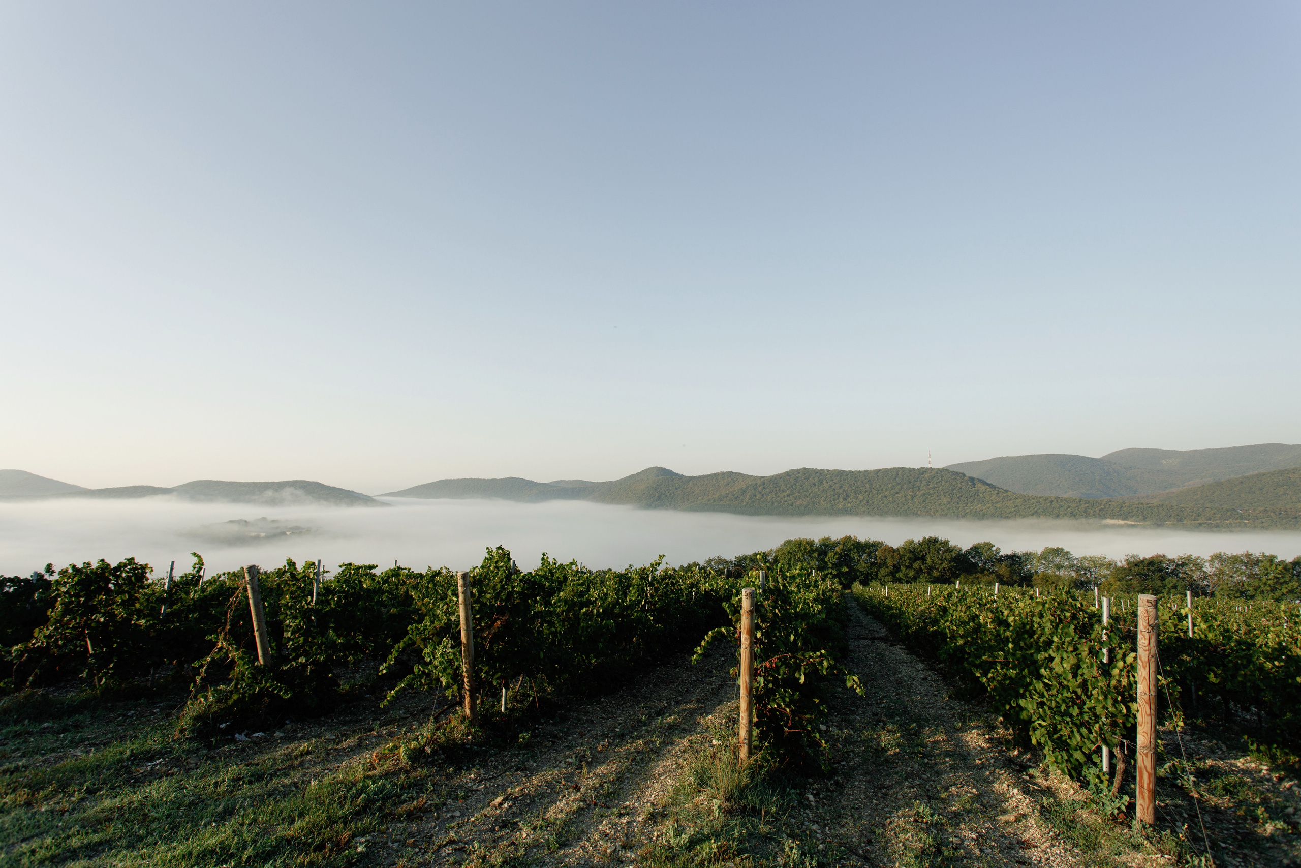 Olga and Said. Photographer Nikita Starodubtsev Serbia, Montenegro, Georgia, Turkey