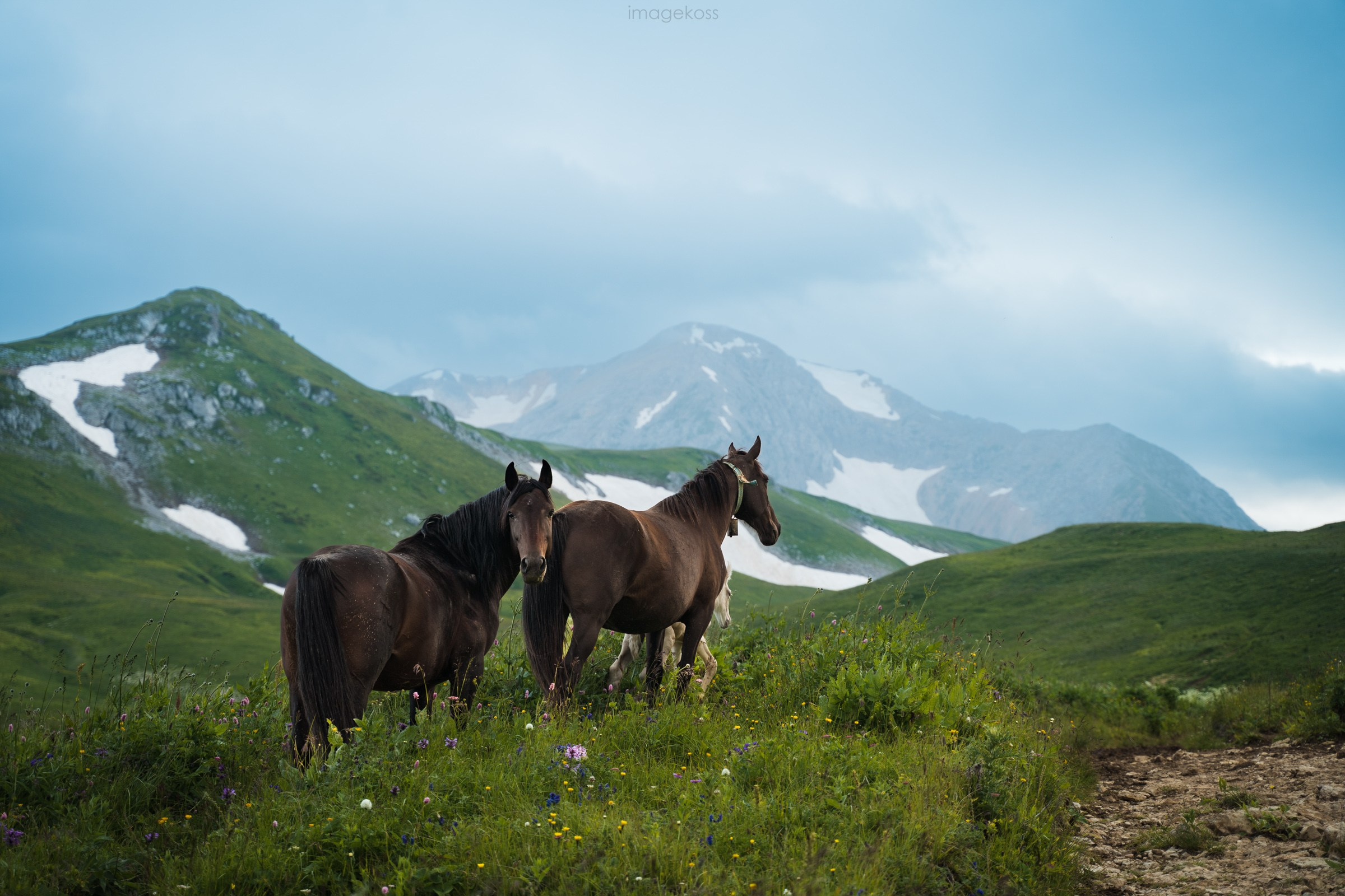 Адыгея. 30й маршрут. Фотограф в поход и восхождение на Эльбрус Игорь Косарев