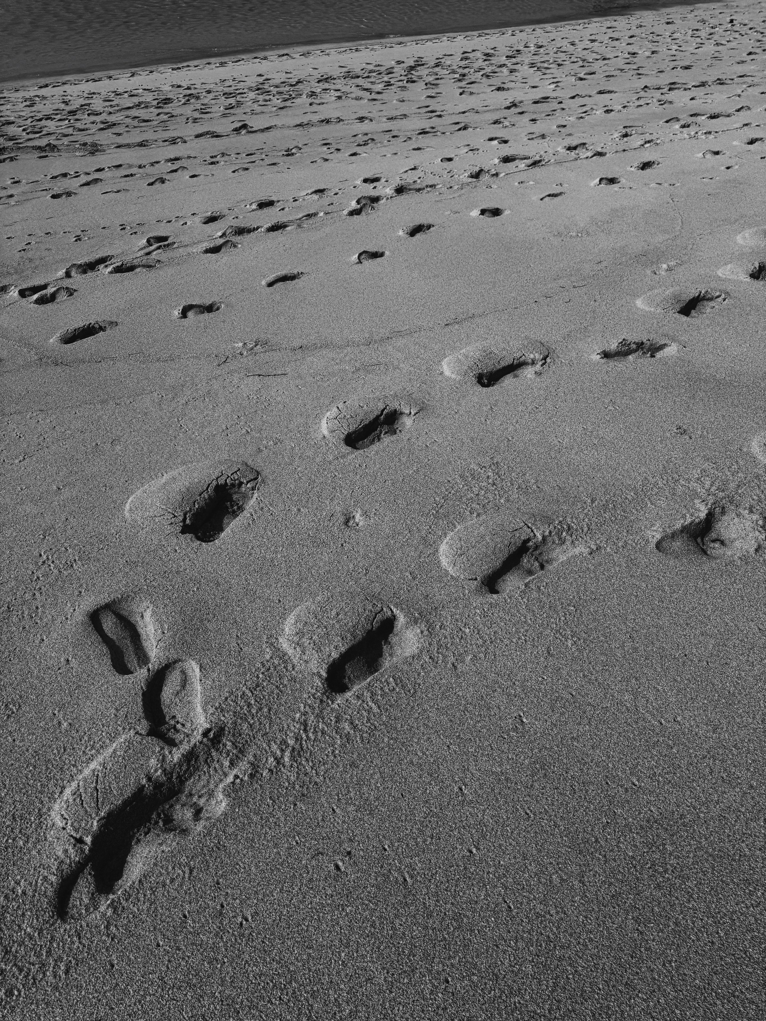 Elements. Carolinetru