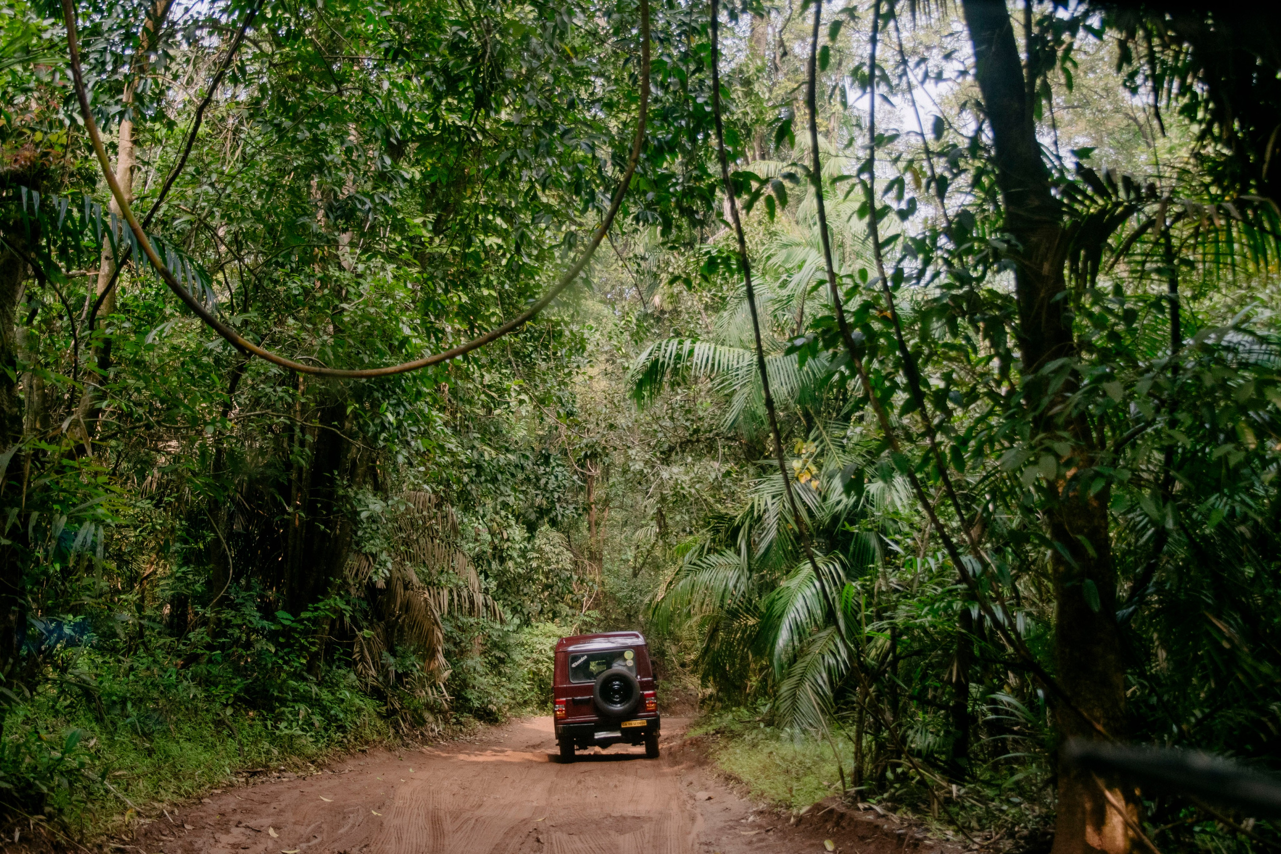 Гоа. индия. Iraogo