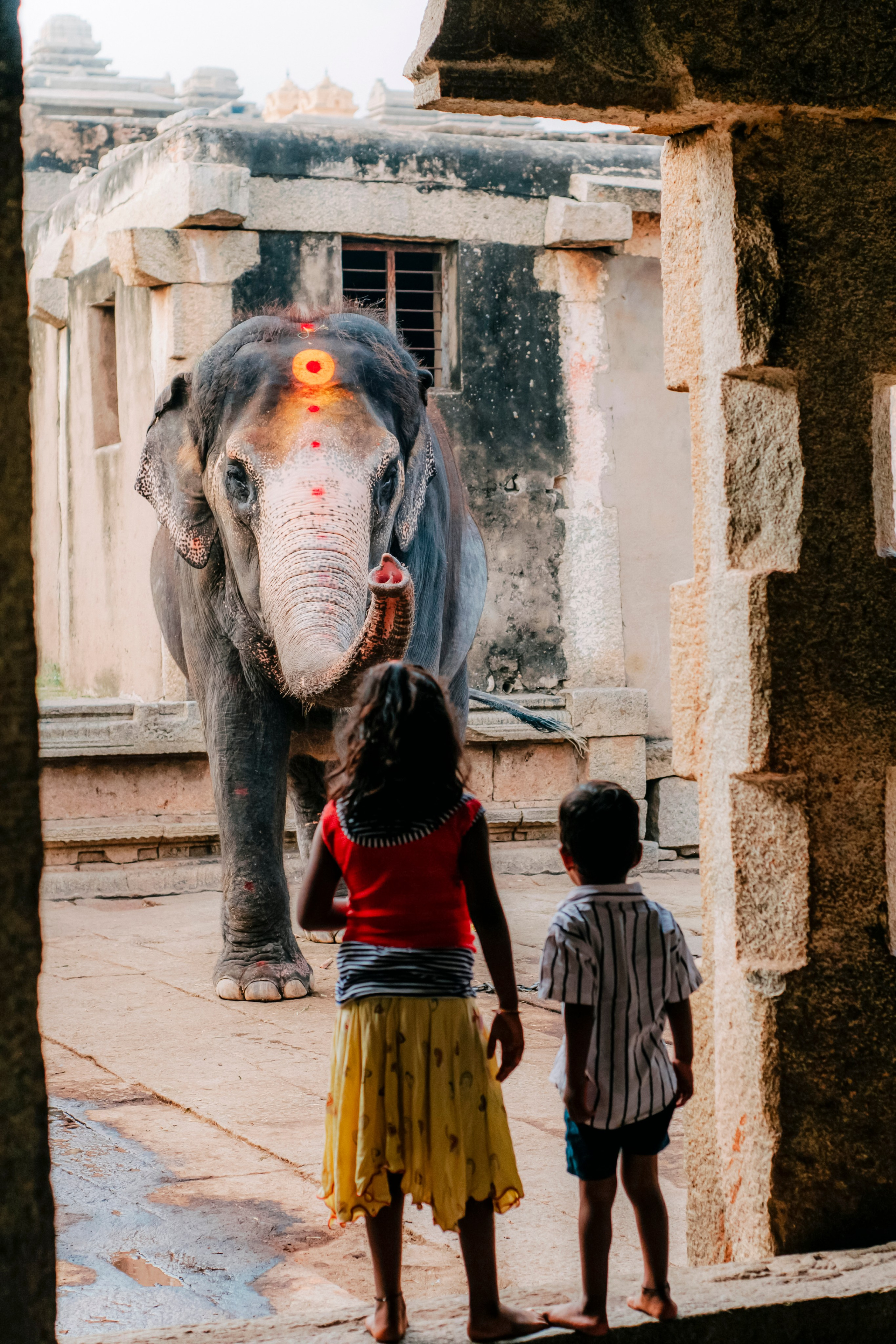Хампи стрит фото. Iraogo