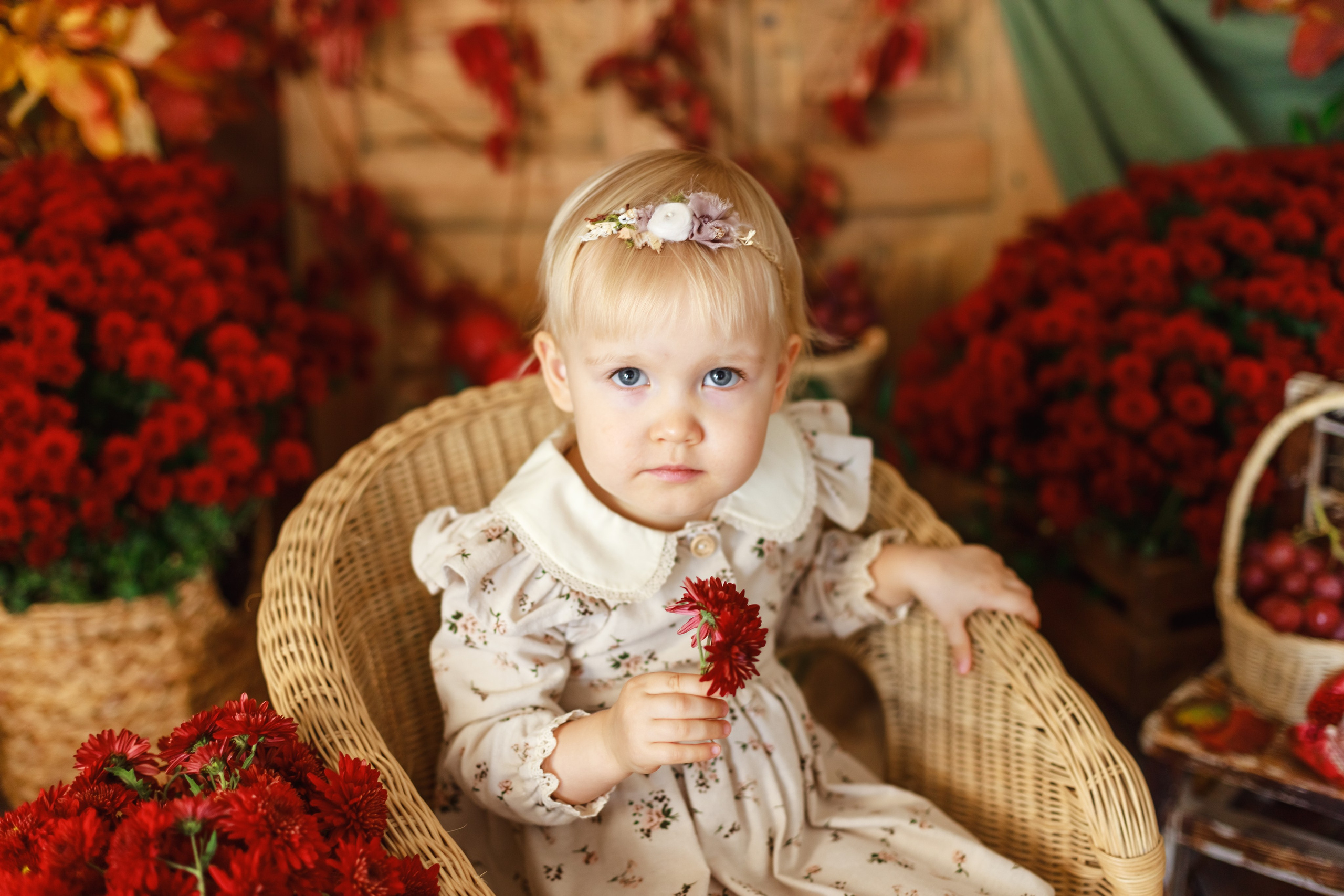 Гранаты 2024. Детский и семейный фотограф в Краснодаре Альбина Морозова