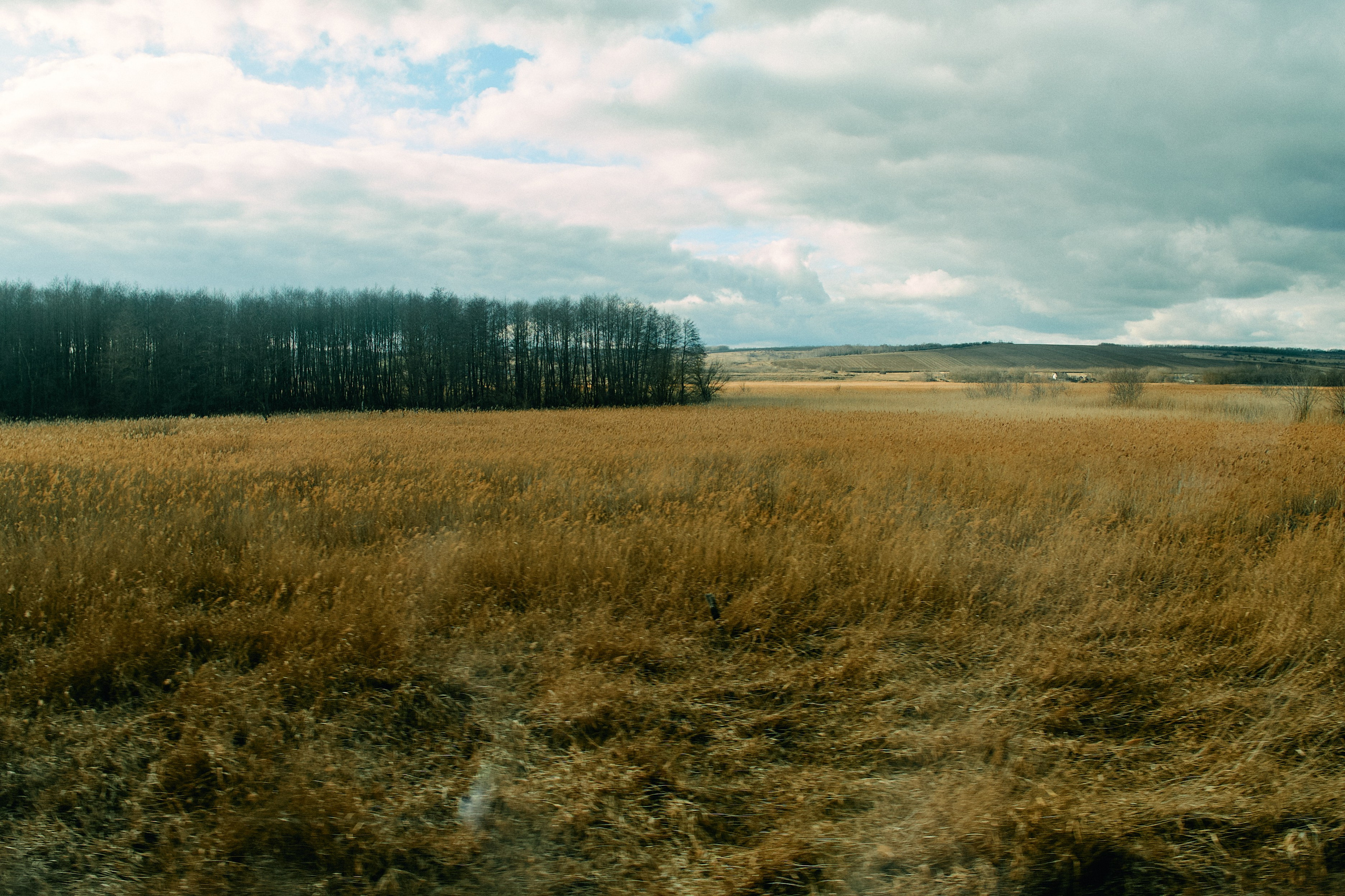 Юг России. Профессиональный Фотограф во Владимире, в Москве и в Суздале — Полина Романычева