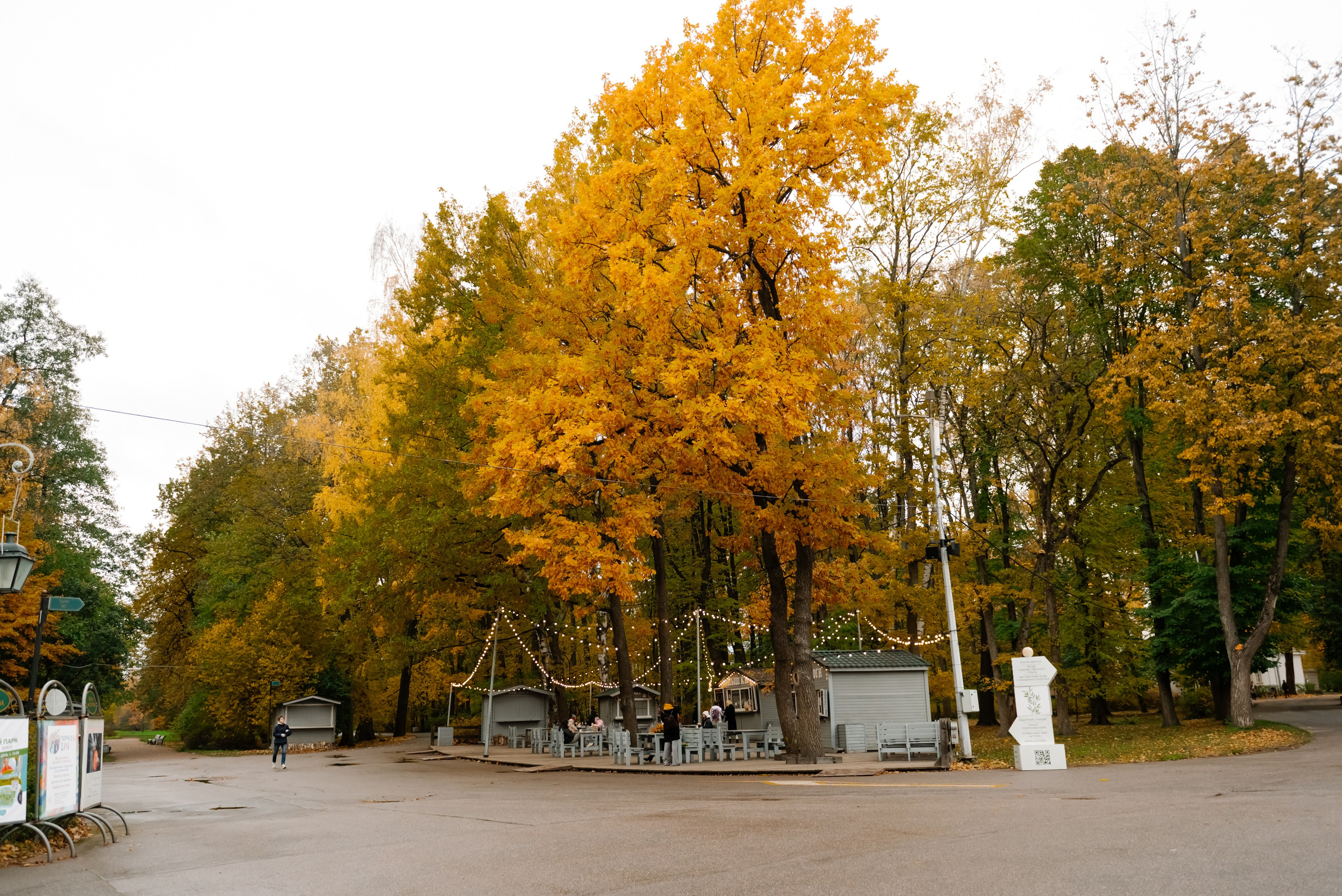 Осенняя фотосессия в Питере на Елагин острове. Свадебный и сеейный фотограф в Санкт-Петербурге Елена Худякова