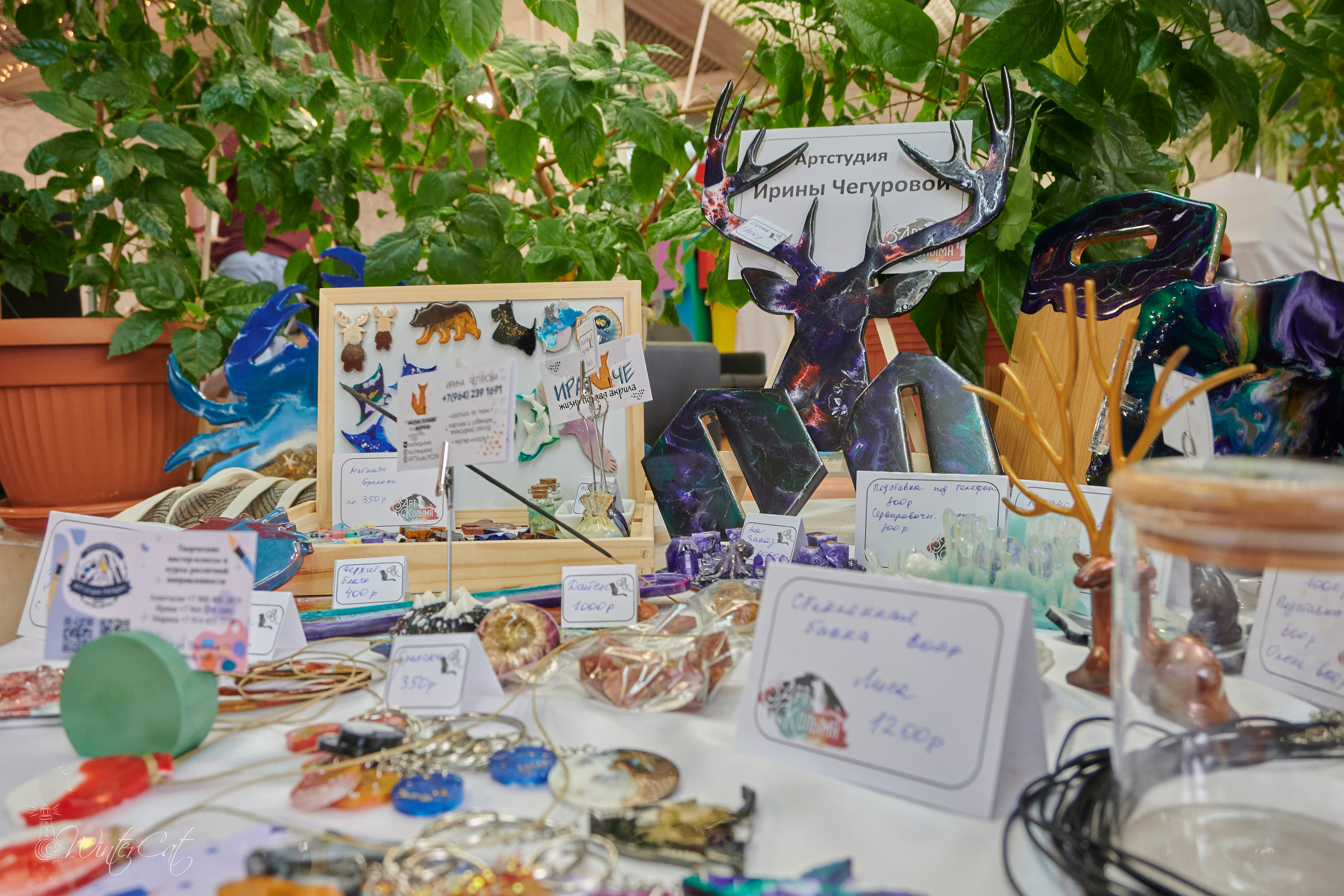 Арт Маркет 12.10.24. Портретный и репортажный фотограф в Магадане Андрей Нефедов WinterCatPhoto