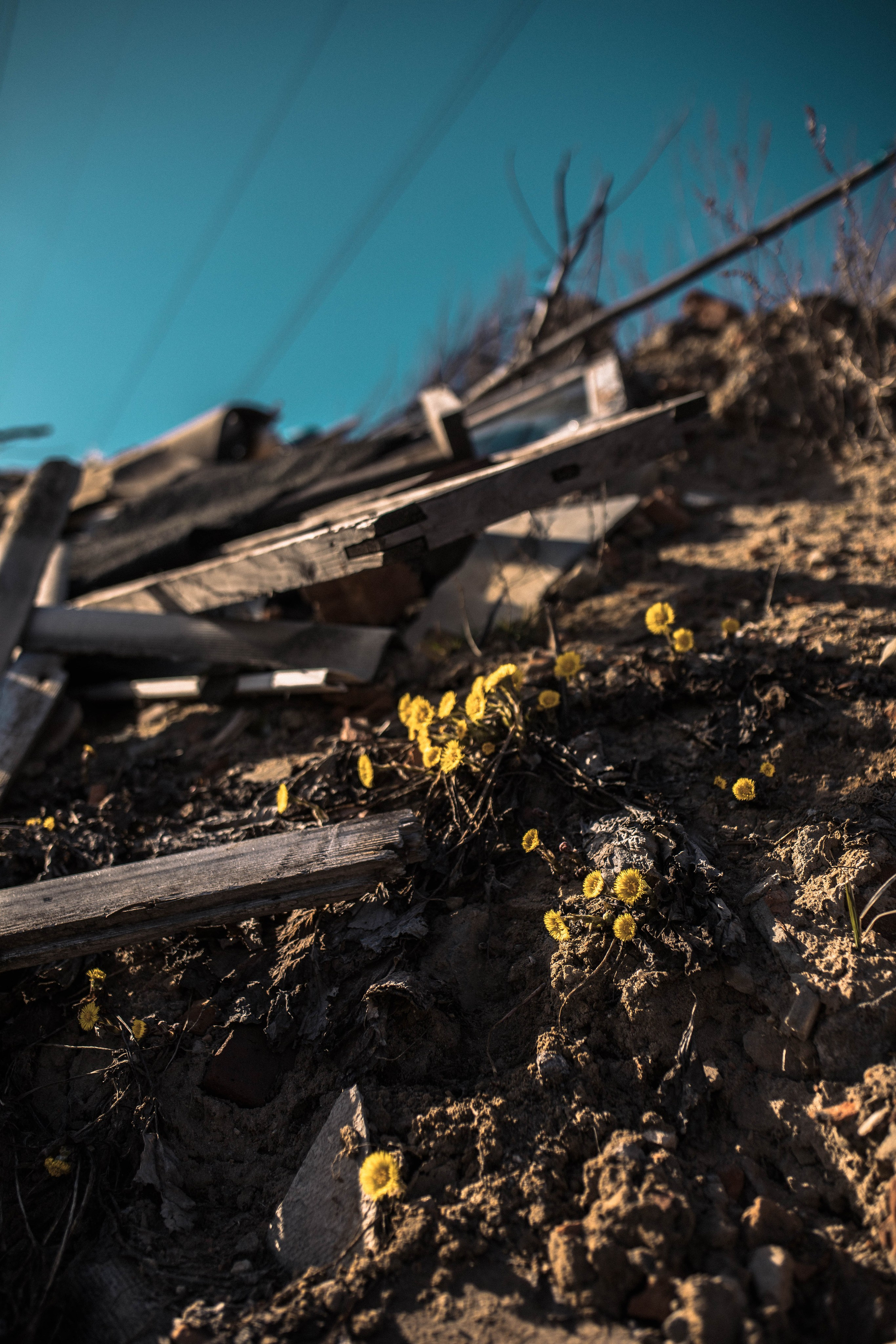 Экология. Воскресенск. Фотограф София Комкина