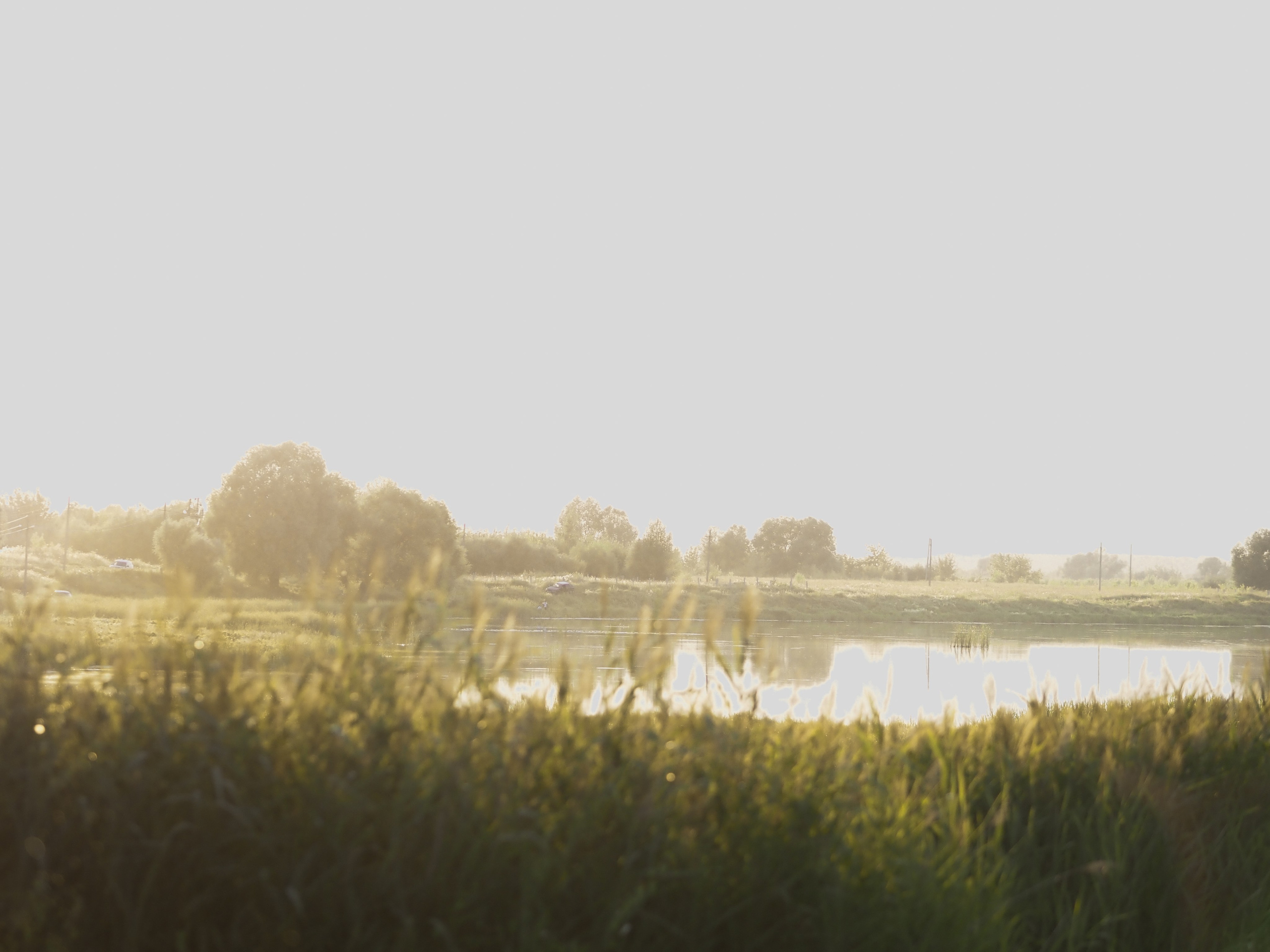 После заката. Фотограф Рязань. Семейный Свадебный фотограф