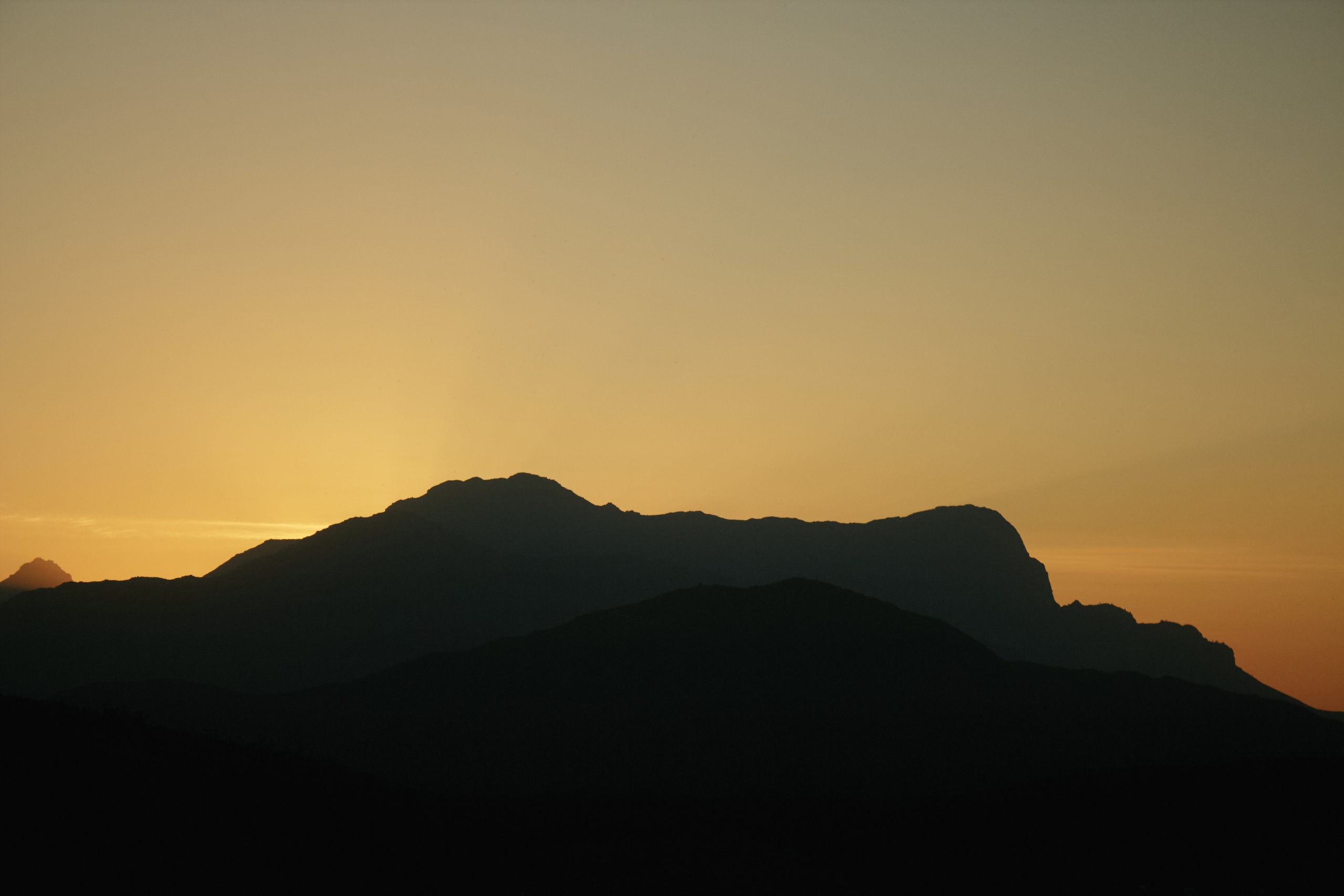 ЮАР. Профессиональный Фотограф во Владимире, в Москве и в Суздале — Полина Романычева