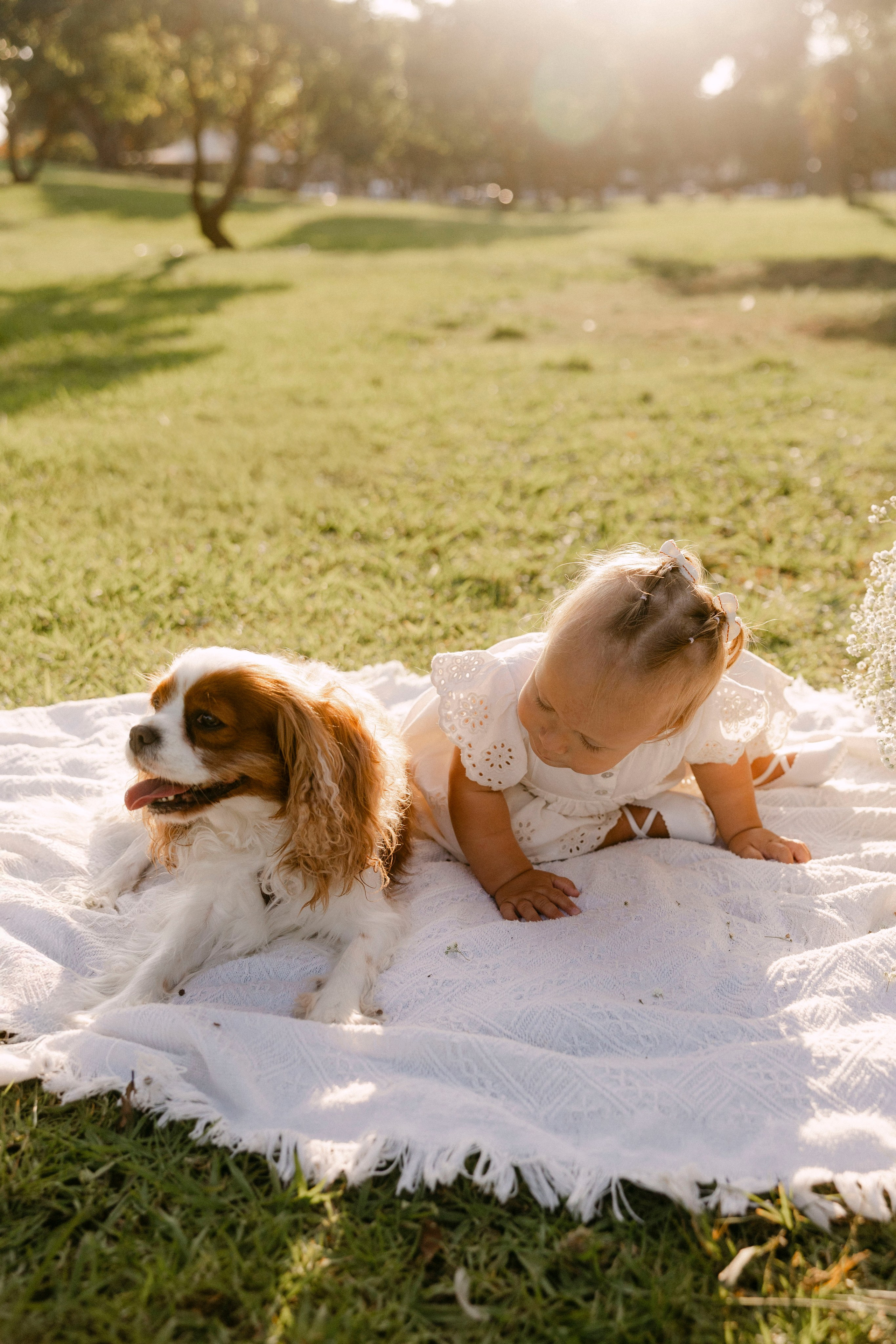 First year photoshoot inside the park (sunset). Wedding and family photographer