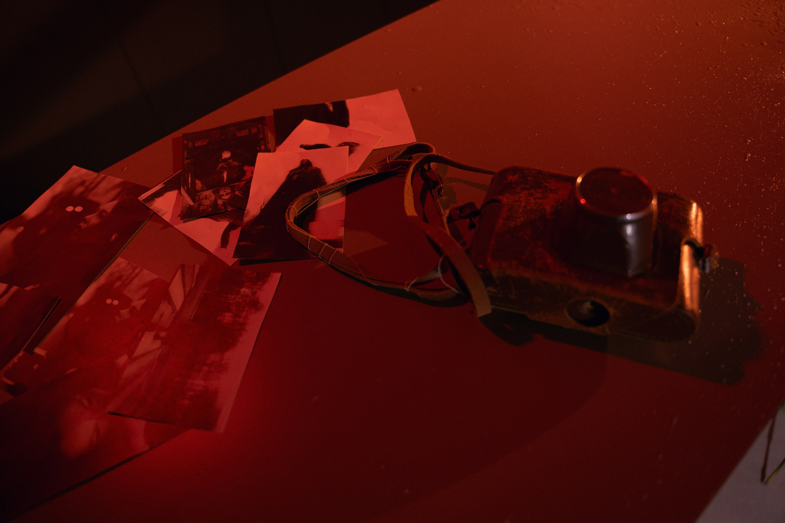 ◦ Света ◦. Главная