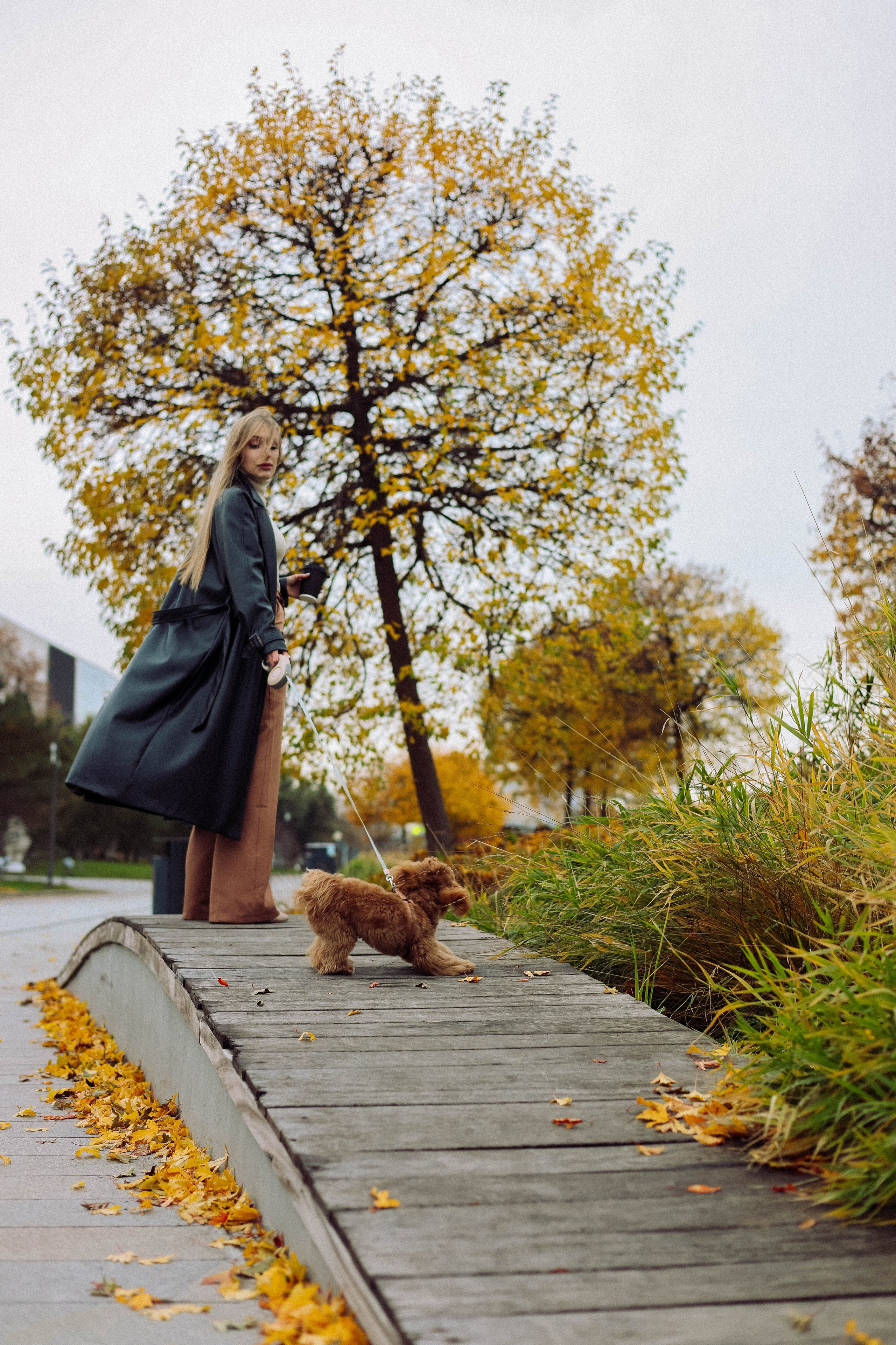 Кира. Фотограф в Москве Анастасия Калинина