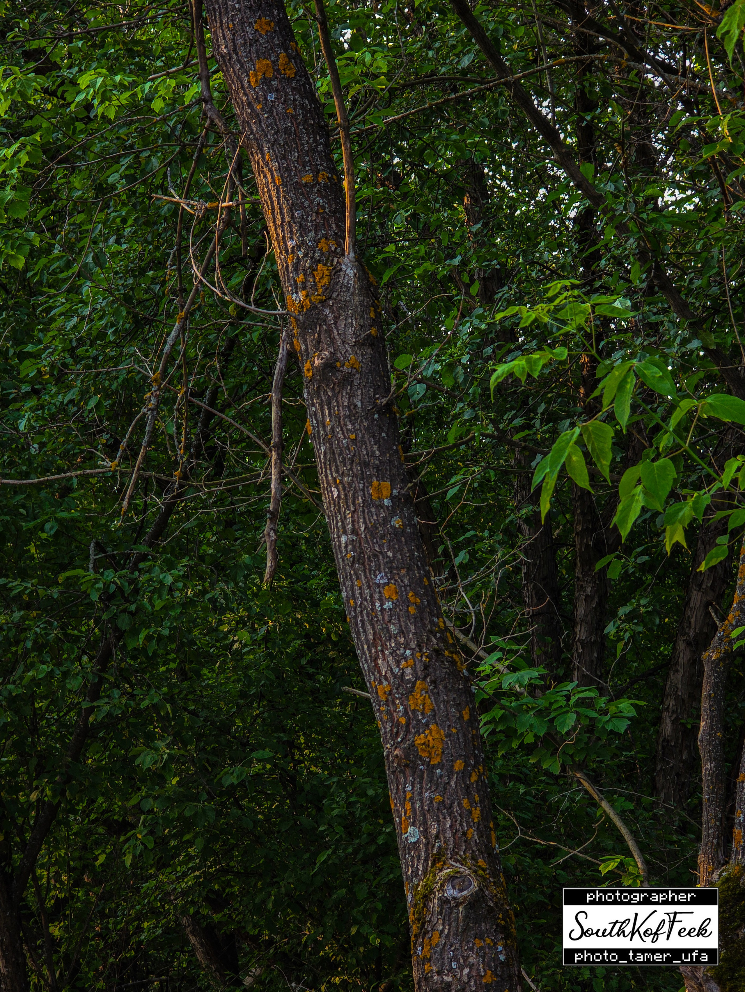 Прочие съемки. Photo Tamer Ufa