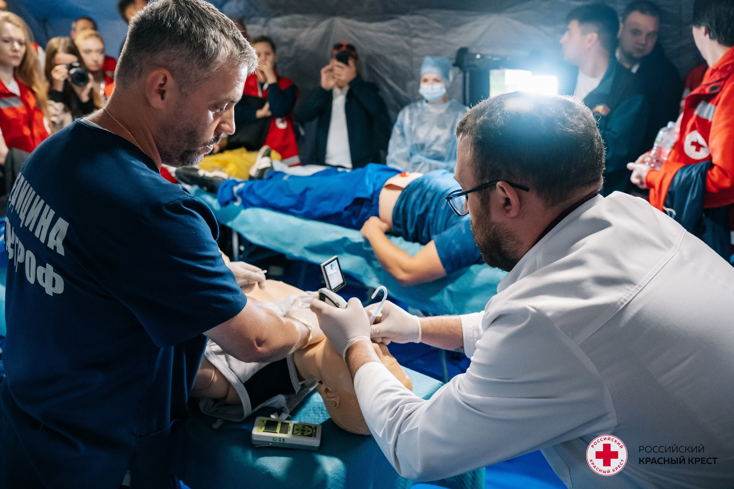 Красный крест | Дегас, медвежья берлога. Фотограф в Воронеже Ольга Космодемьянская