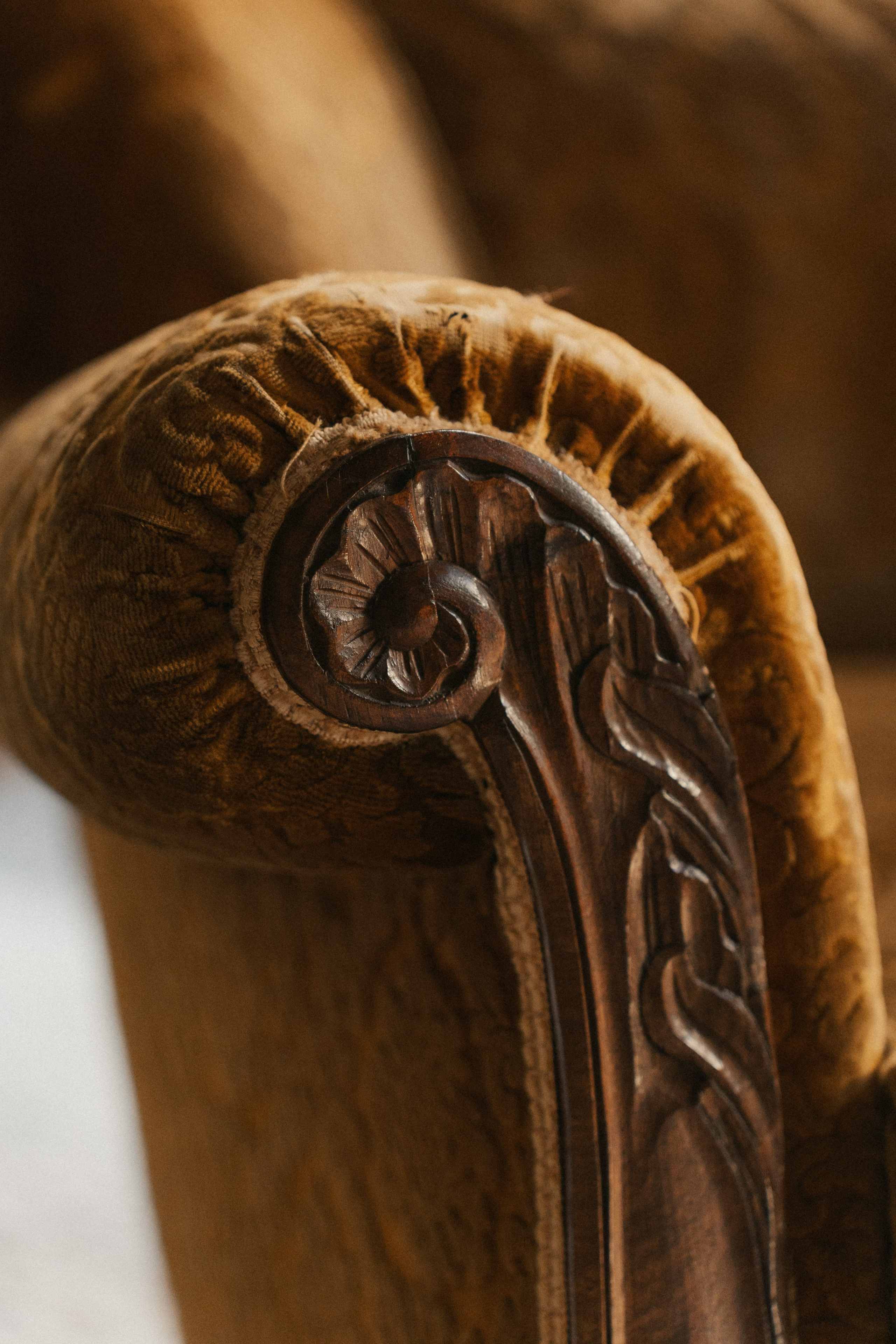 Dimora Almayer | Genoa