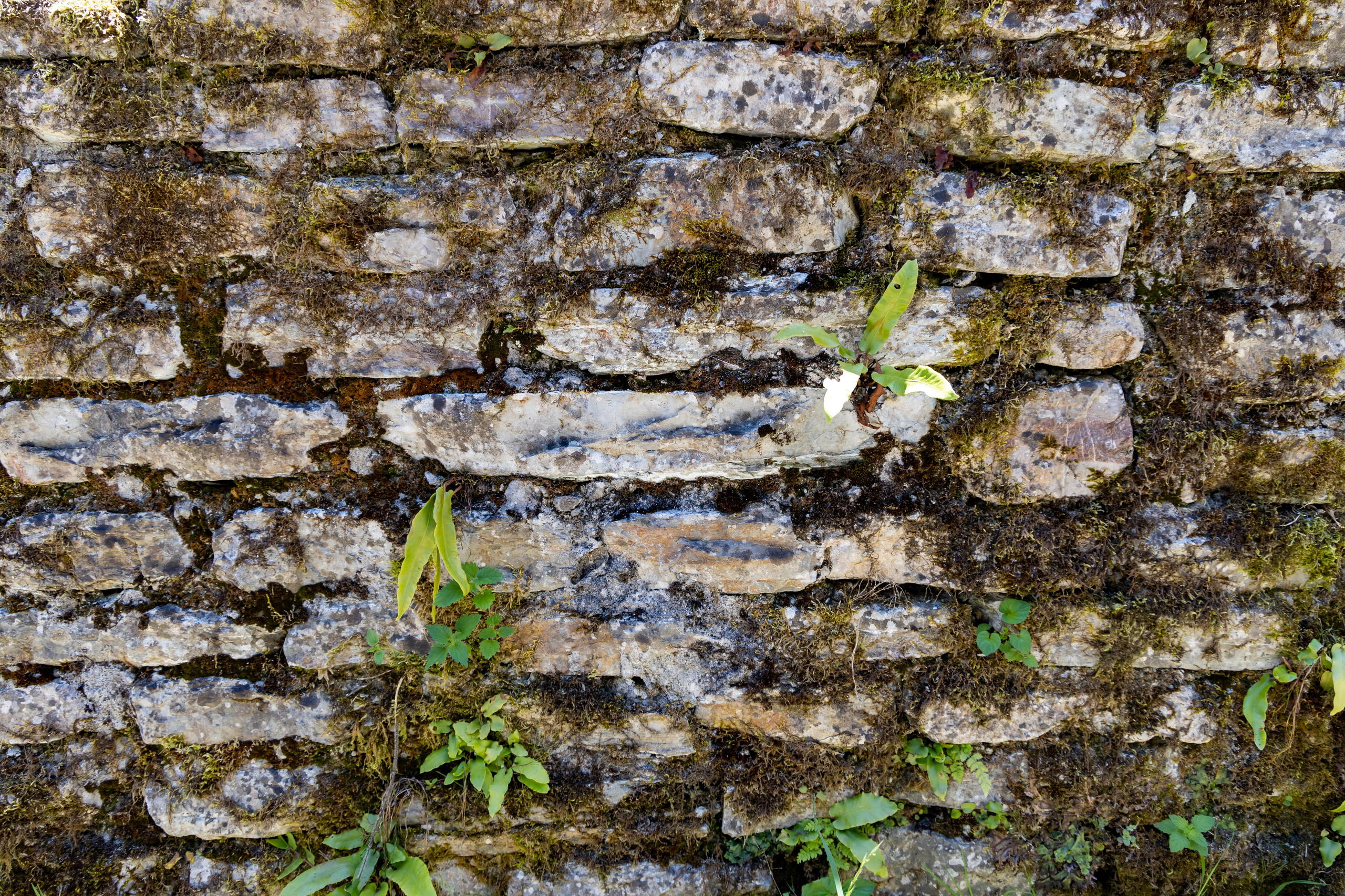 Сочи. Солох Аул. Репортажный, семейный и студийный фотограф в Москве Демин Алексей