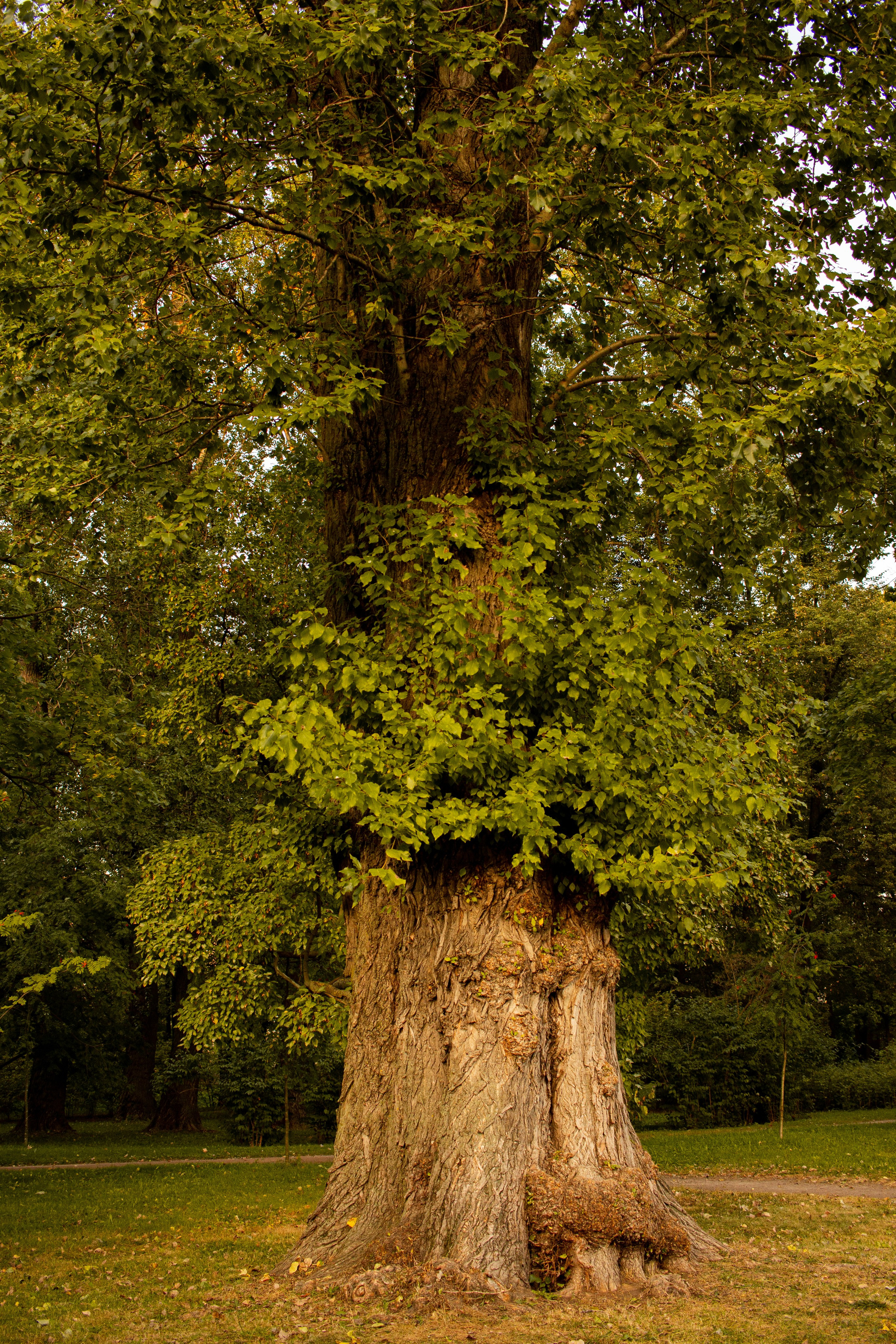 Осень. Портретный фотограф DanilNabody