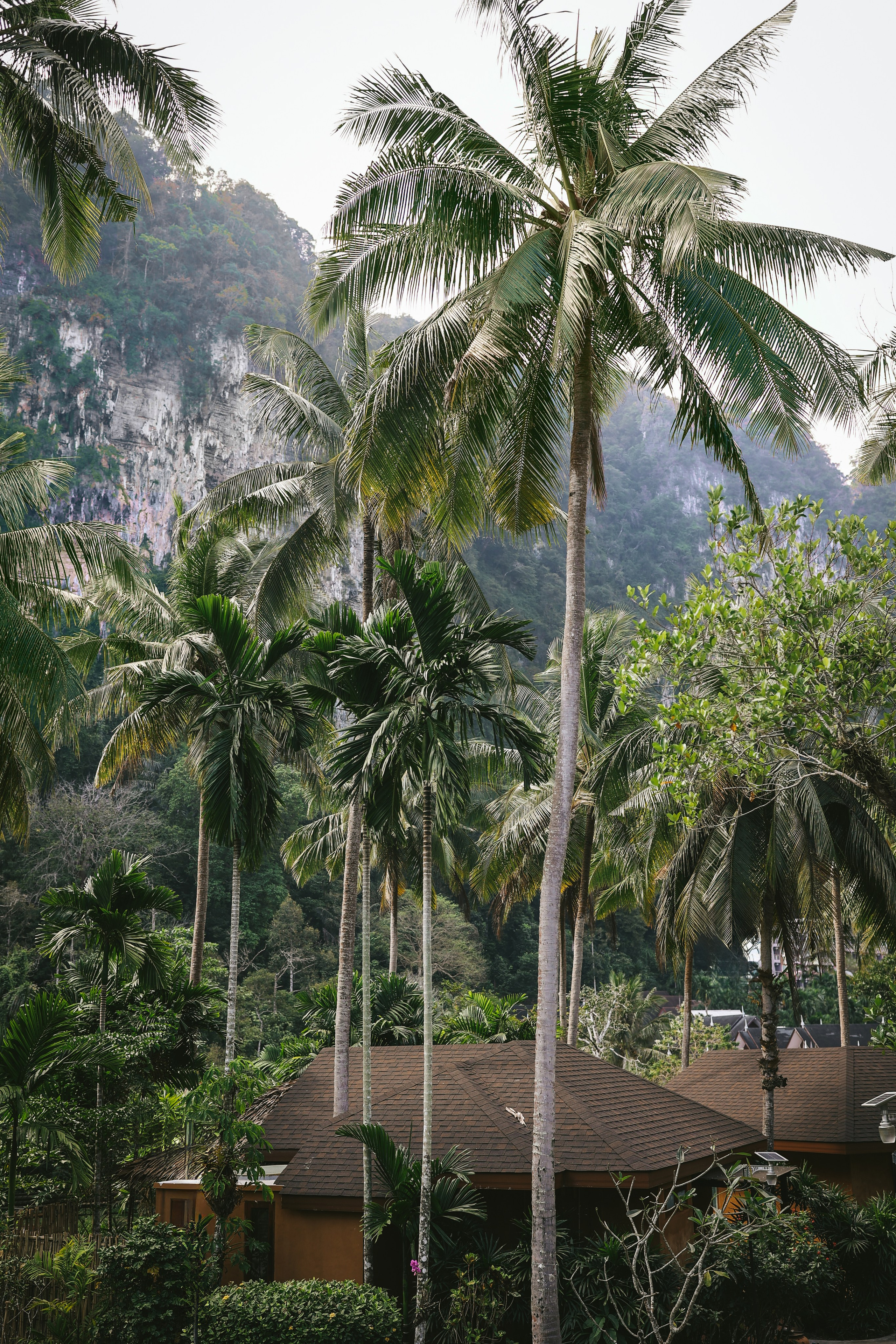 Thailand / Ban Sainai Resort. Ekaterina Buneeva Photography