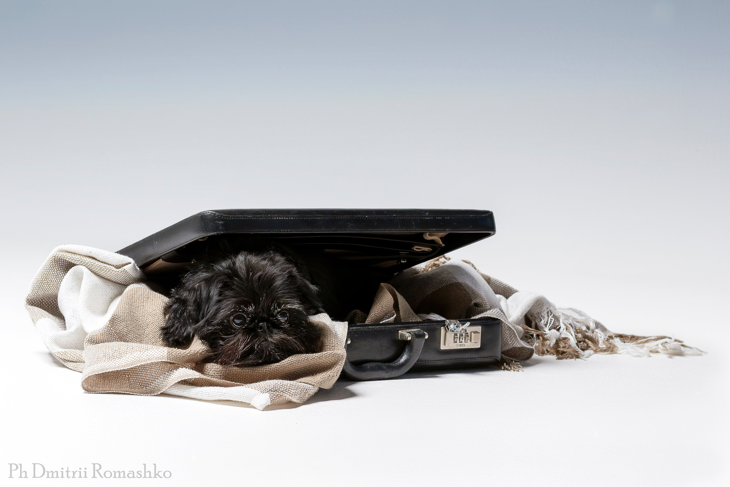 Анималистка. Фотограф Дмитрий Ромашко