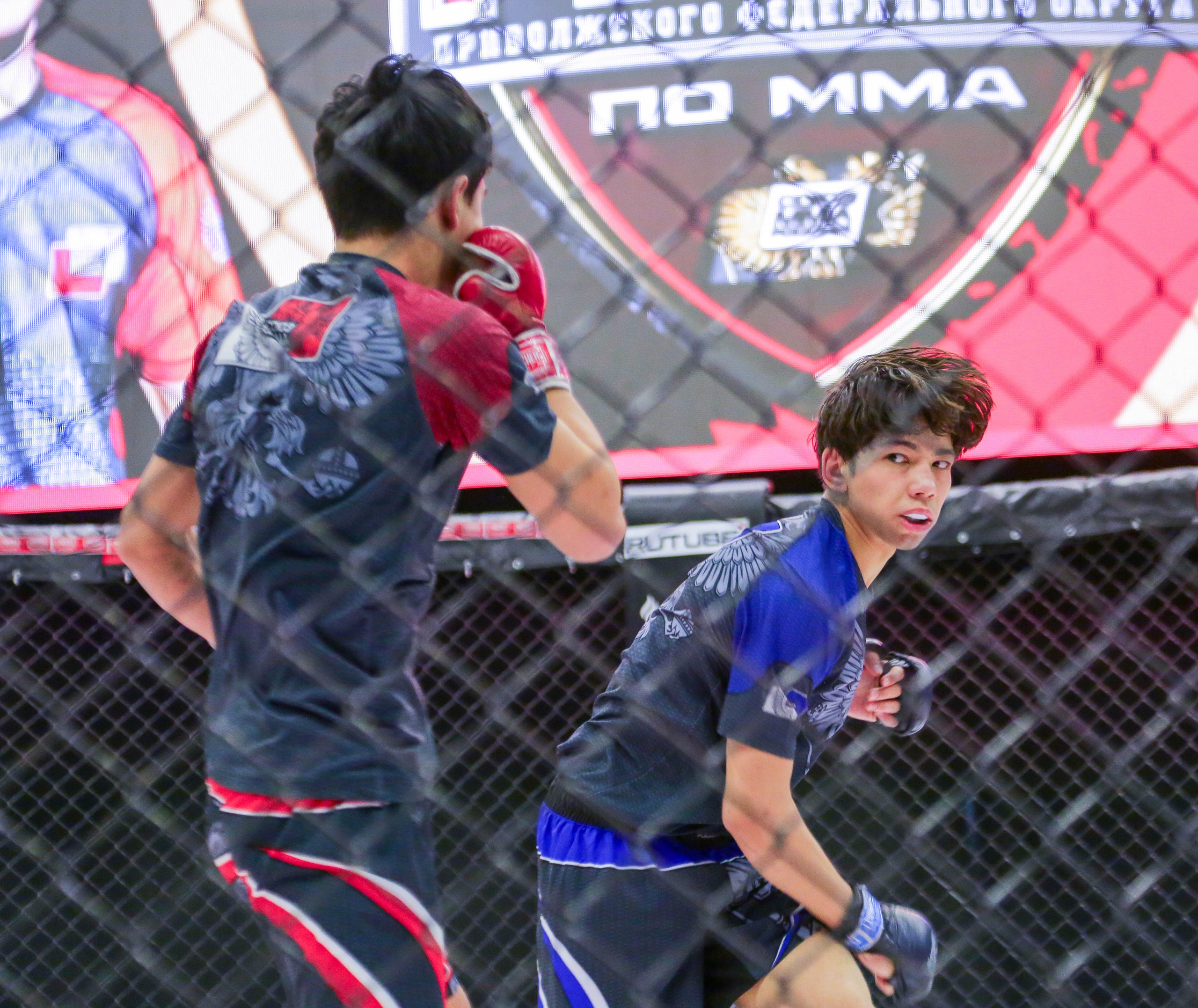 Индивидуальные съемки. Фото G