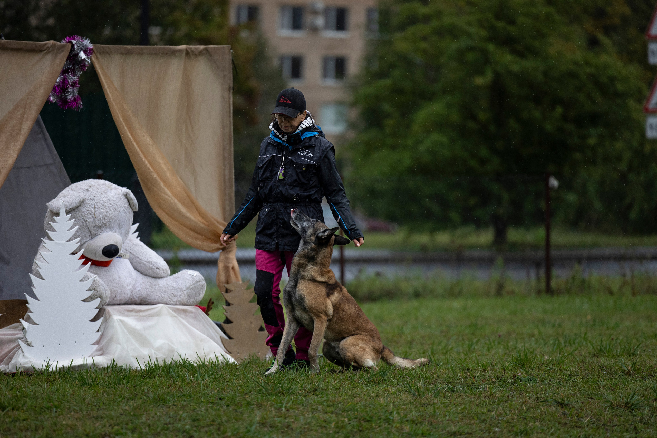 Испытания по Мондьорингу г. Пушкин. Фотограф-анималист Анна Маринич