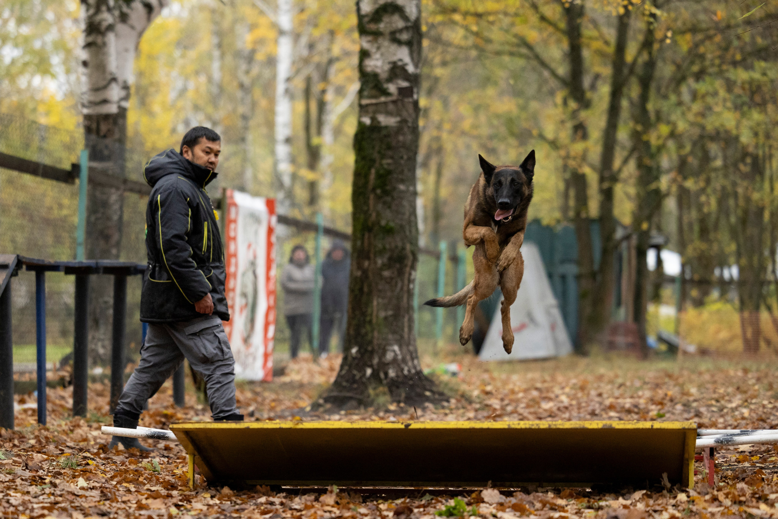 Соревнования по Мондьорингу г. Вологда. Фотограф-анималист Анна Маринич
