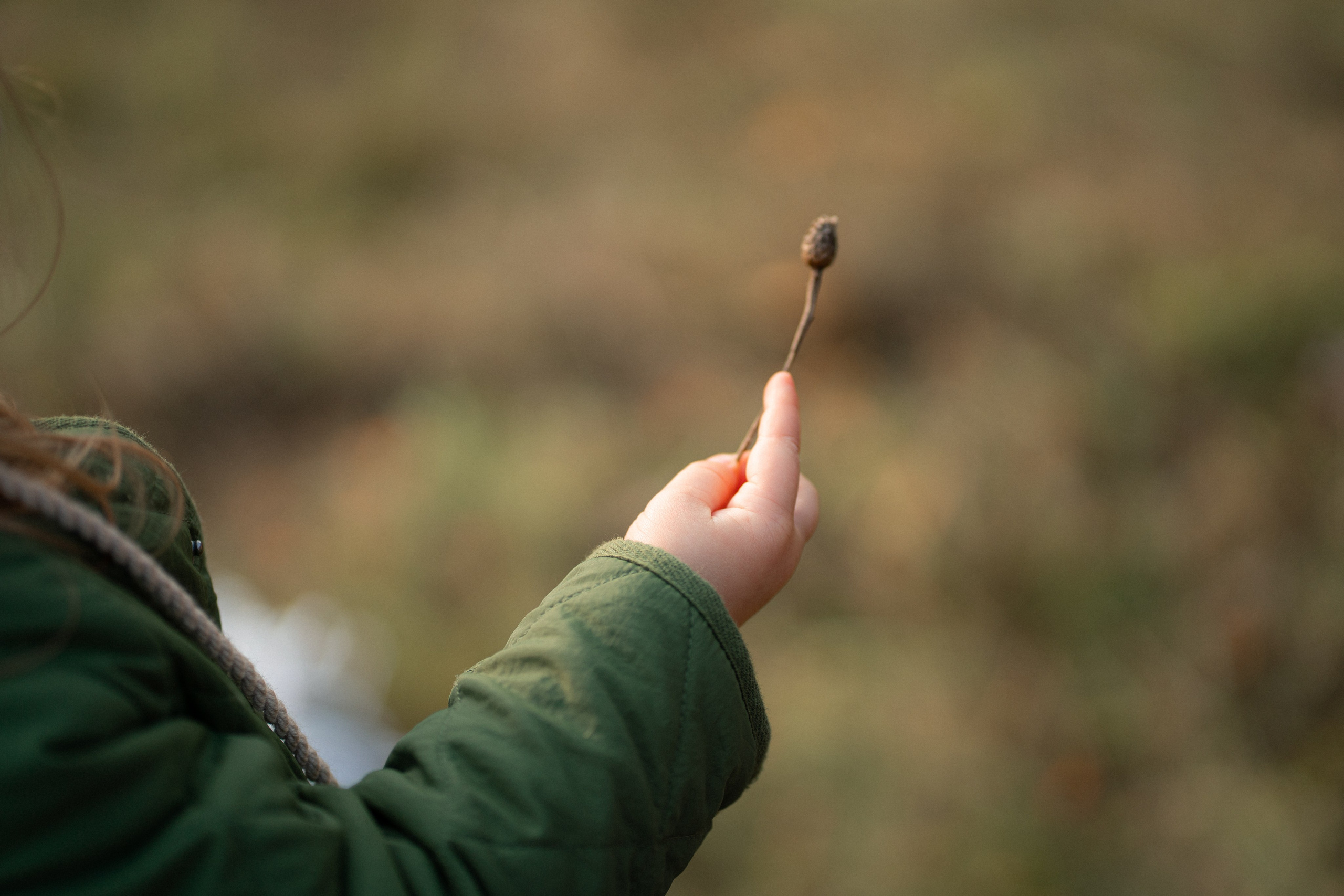 Осень в Цаицыно. Семейный и детский фотограф Мария Лютикова