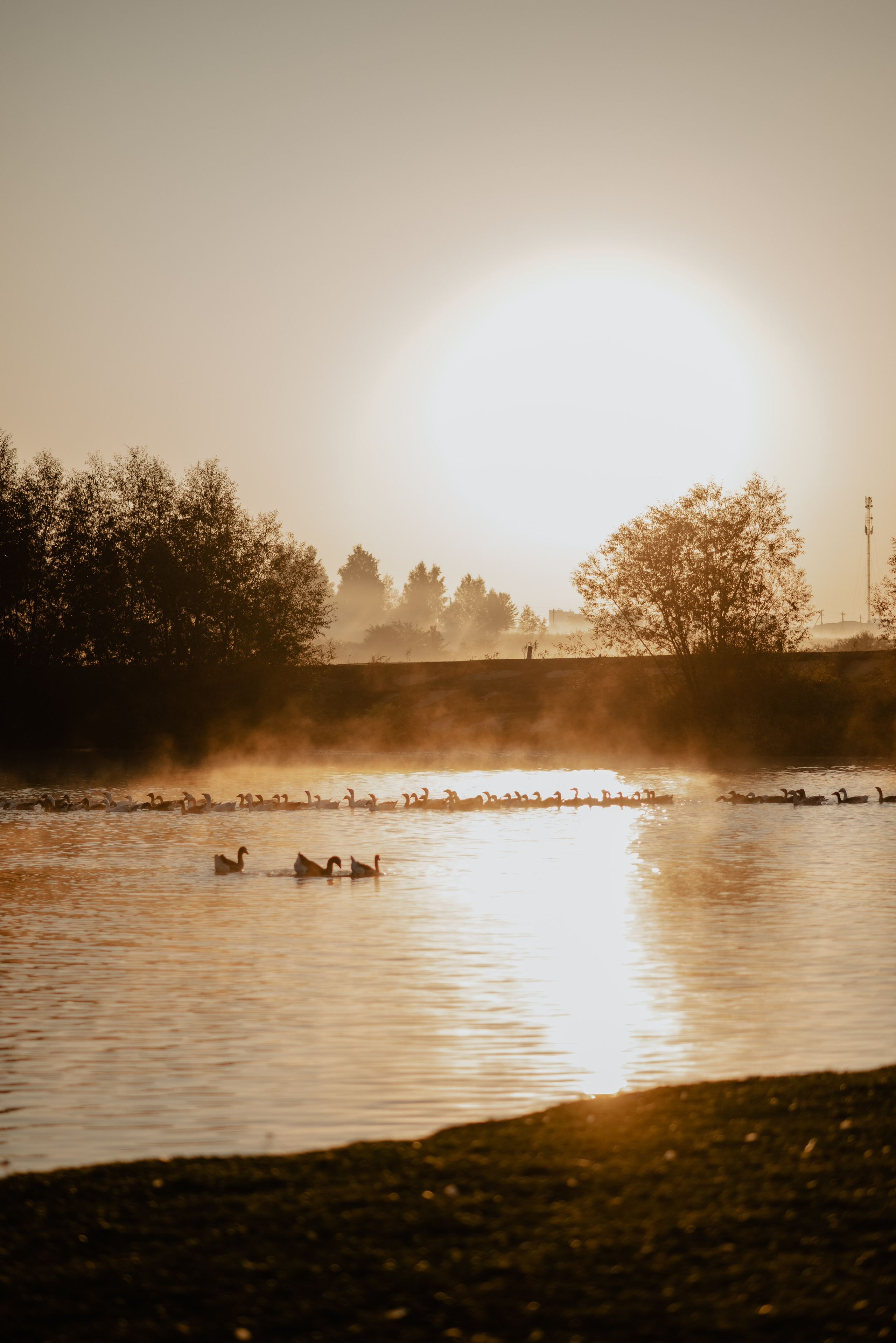 На рассвете. Свадебный и портретный фотограф в Брянске и Москве Алина Химушкина
