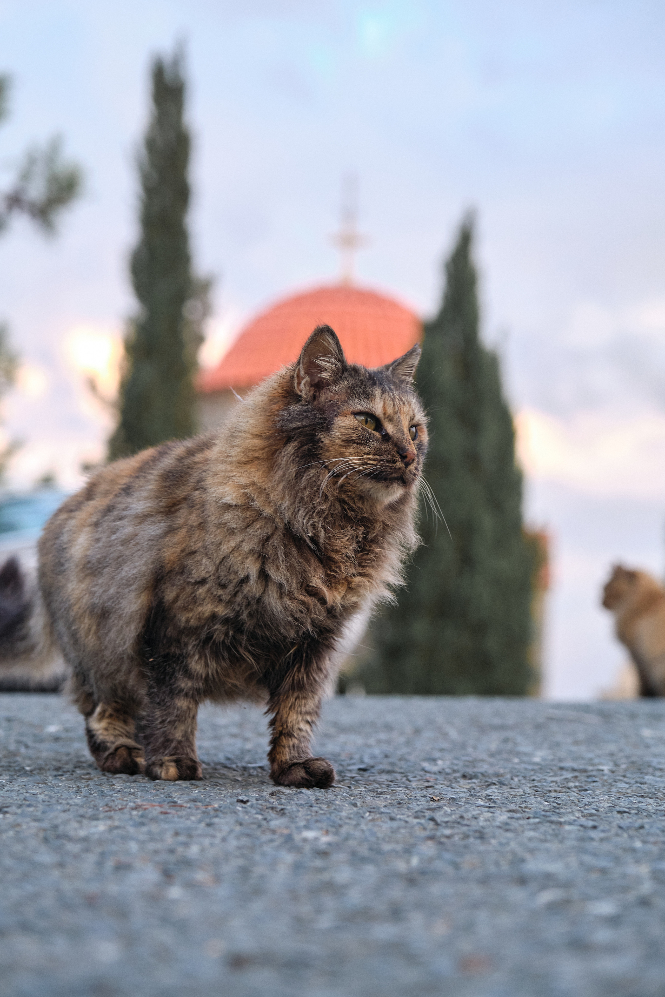 CYPRUS> > > > 2022\4. Aleksandr Kobtsev