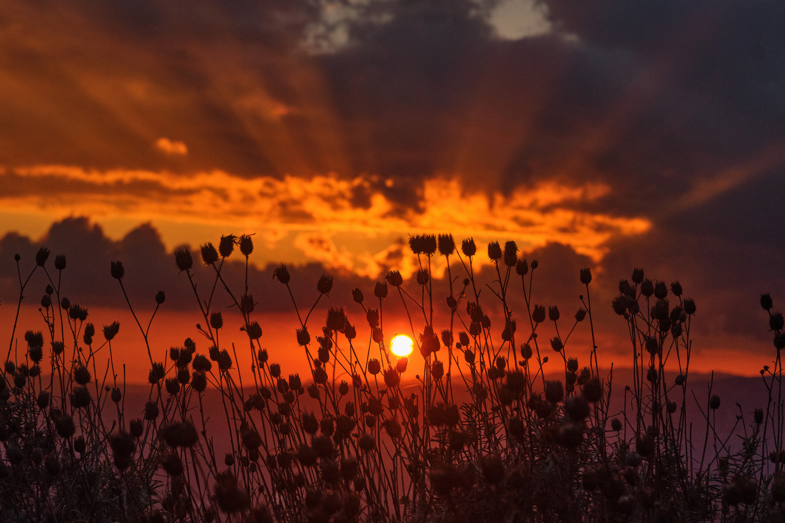 CYPRUS> > > > 2022\4. Aleksandr Kobtsev