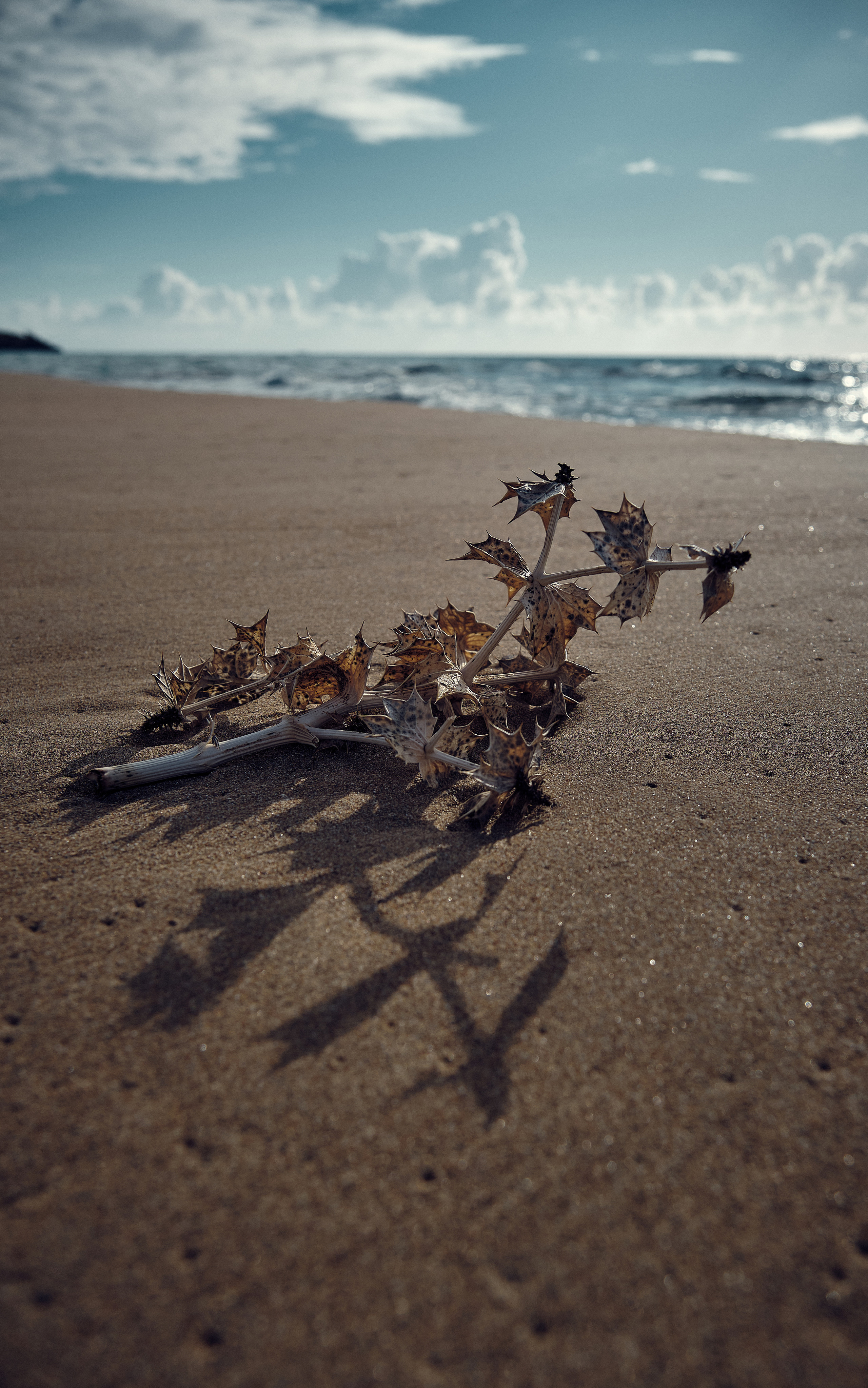 Northern Cyprus >2022. Aleksandr Kobtsev