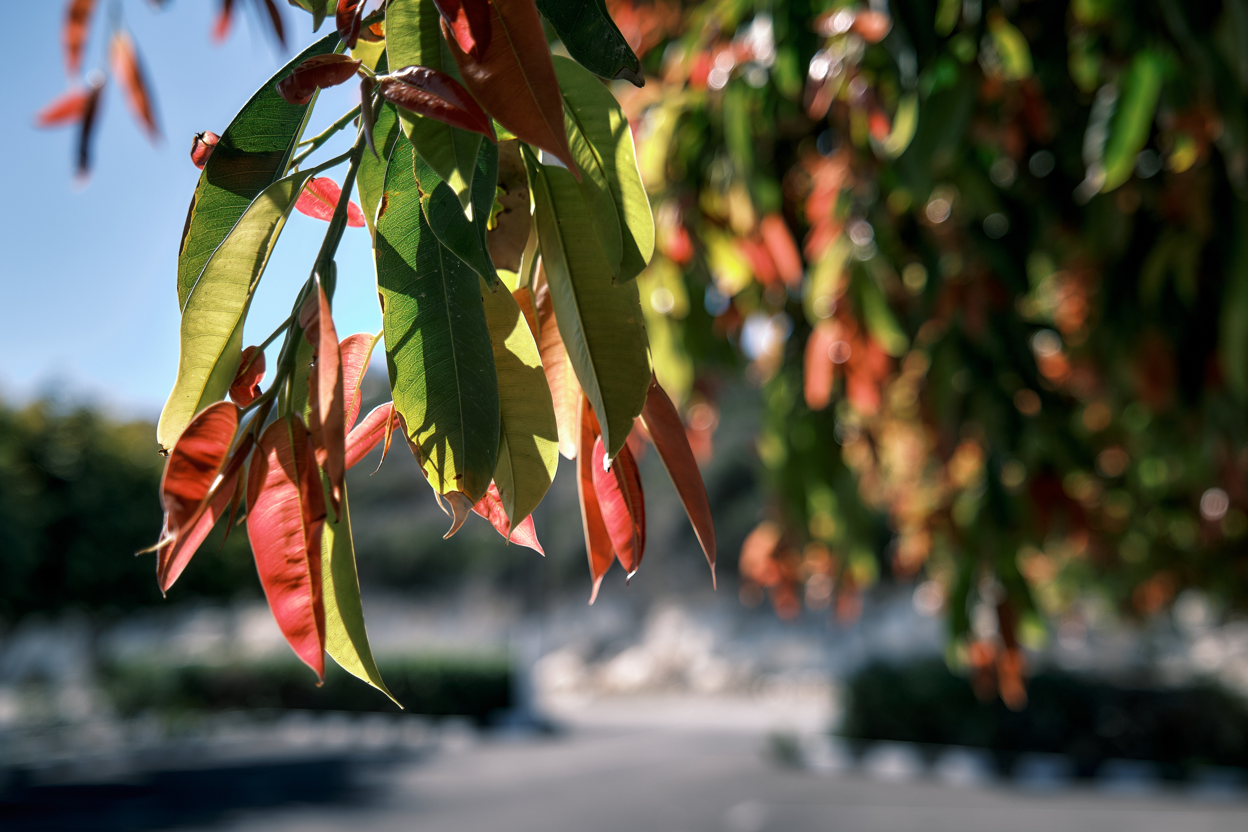 Cyprus 2023 / february. Aleksandr Kobtsev