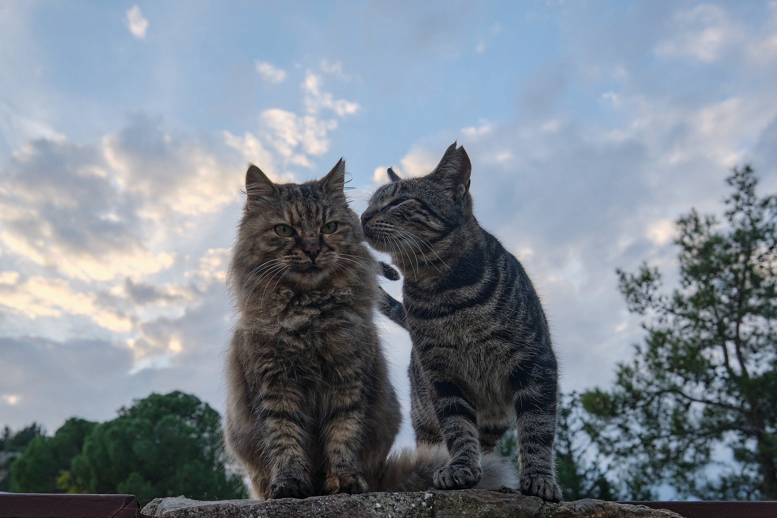 CYPRUS> > > > 2022\4. Aleksandr Kobtsev