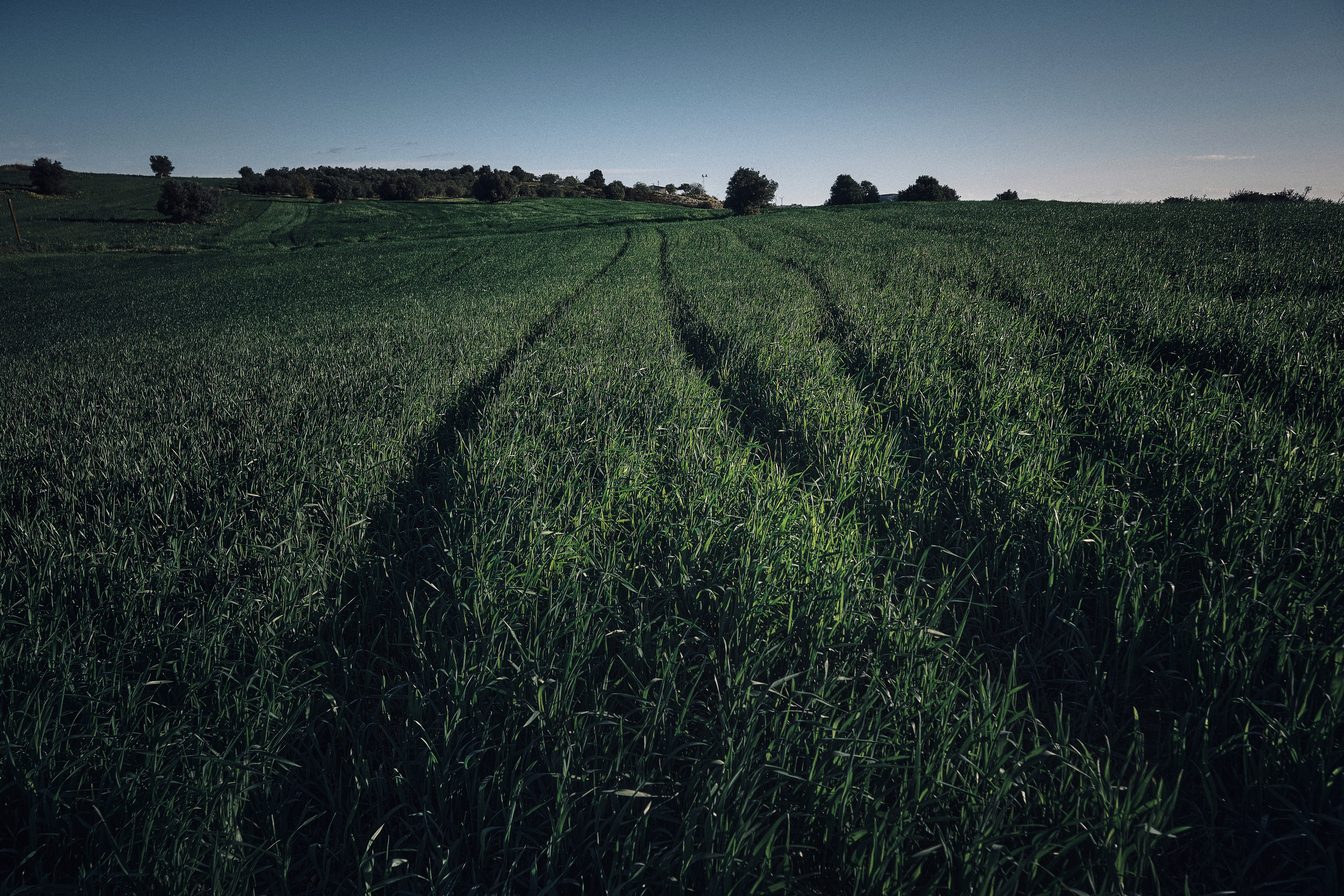 Cyprus 2023 / february. Aleksandr Kobtsev