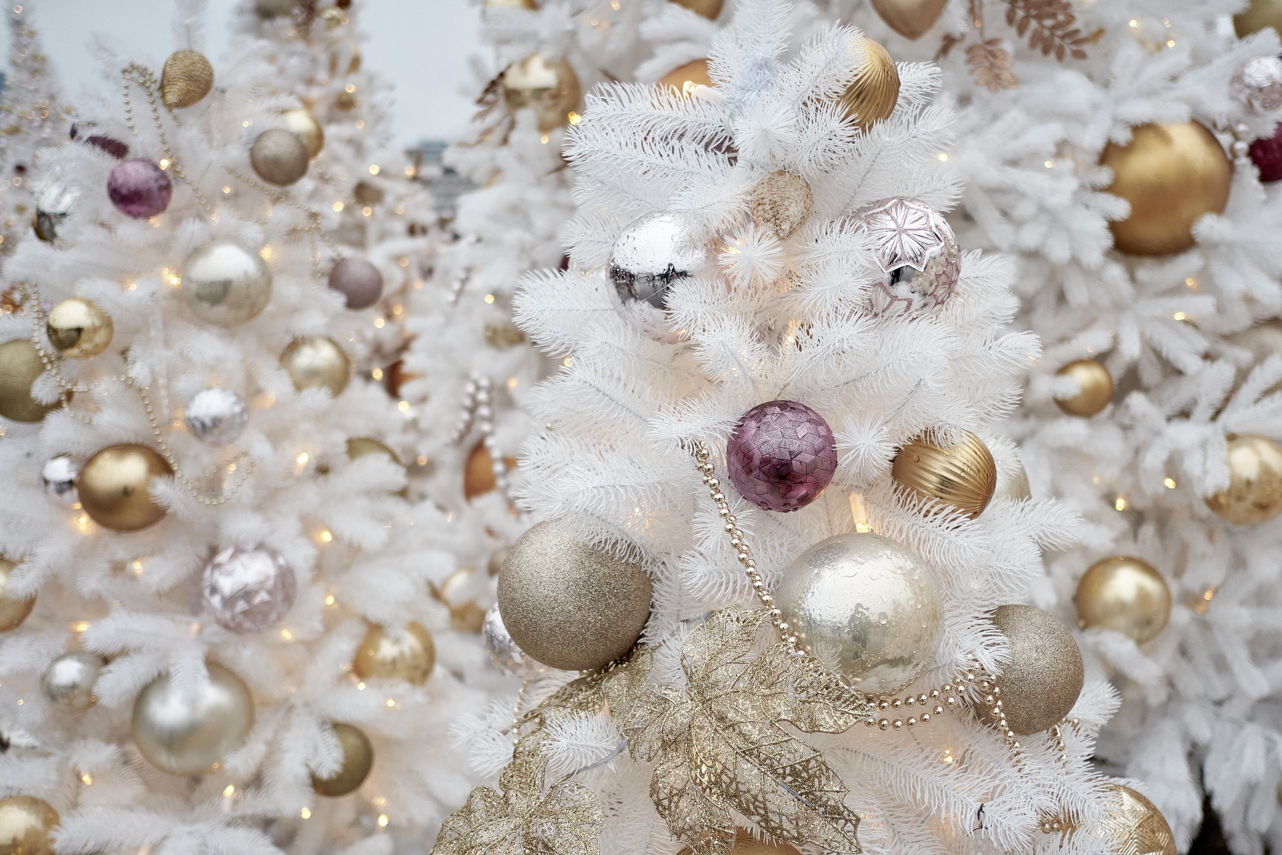 Winter 22/23. Aleksandr Kobtsev