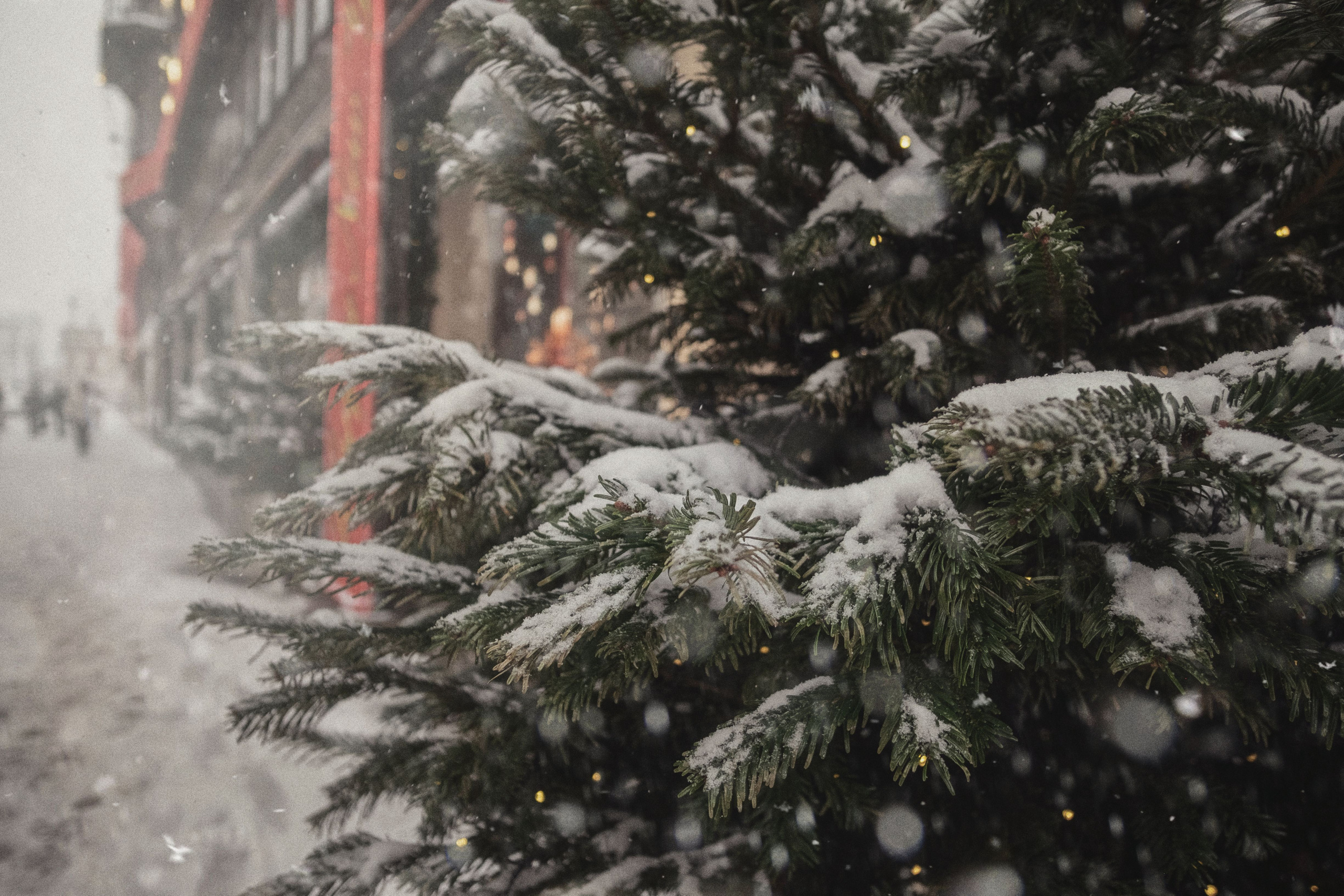 Winter 22/23. Aleksandr Kobtsev