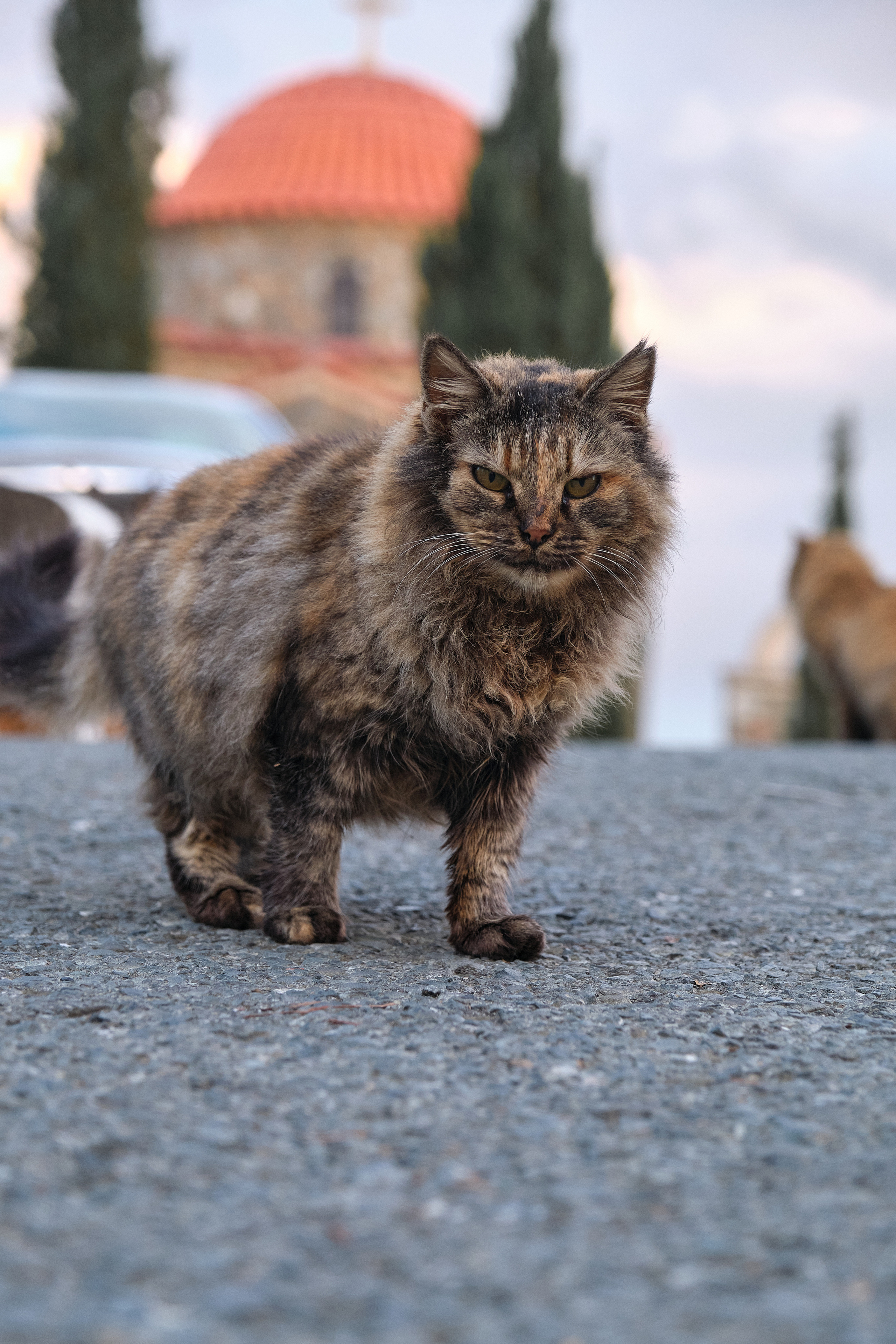 CYPRUS> > > > 2022\4. Aleksandr Kobtsev