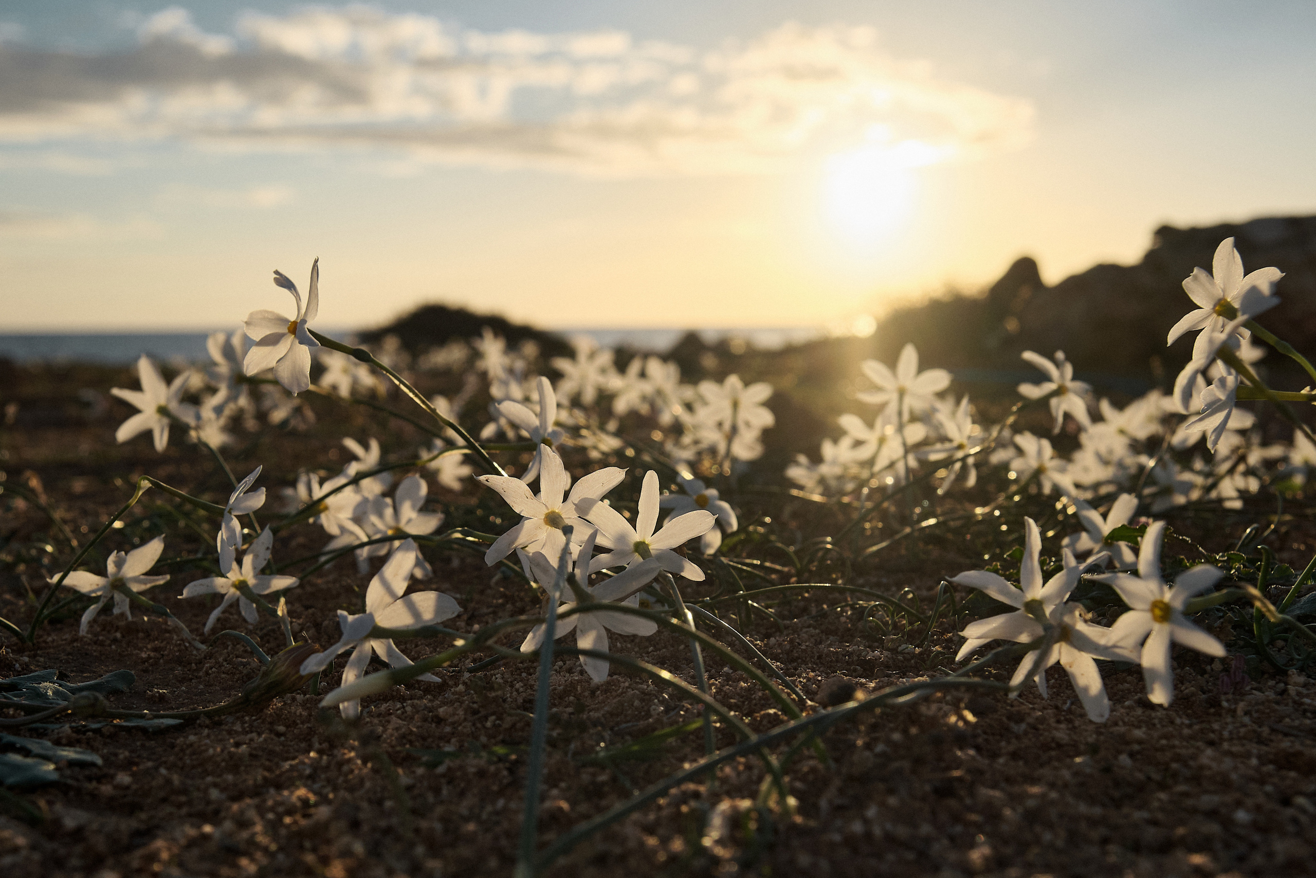 Northern Cyprus >2022. Aleksandr Kobtsev