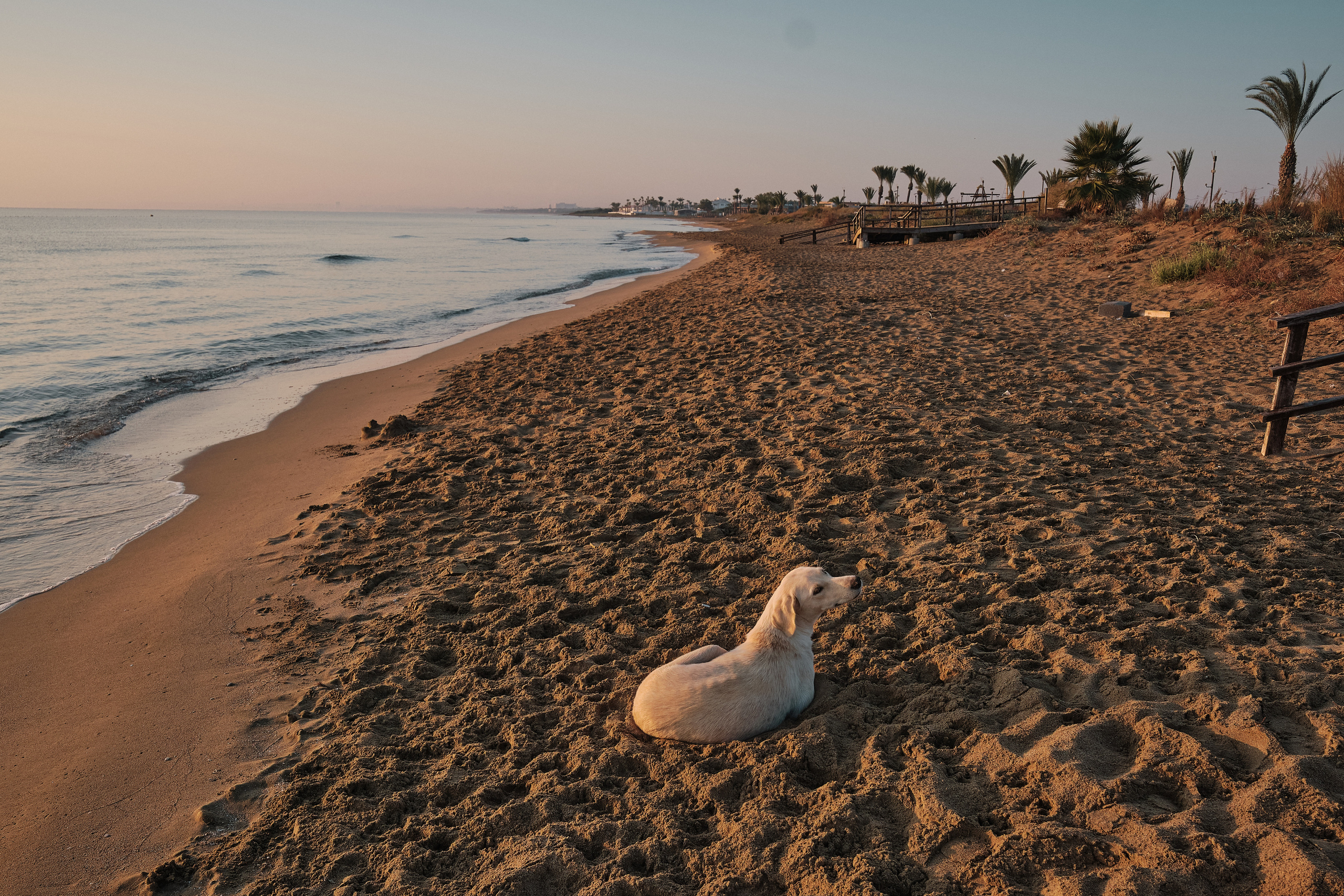 Northern Cyprus >2022. Aleksandr Kobtsev