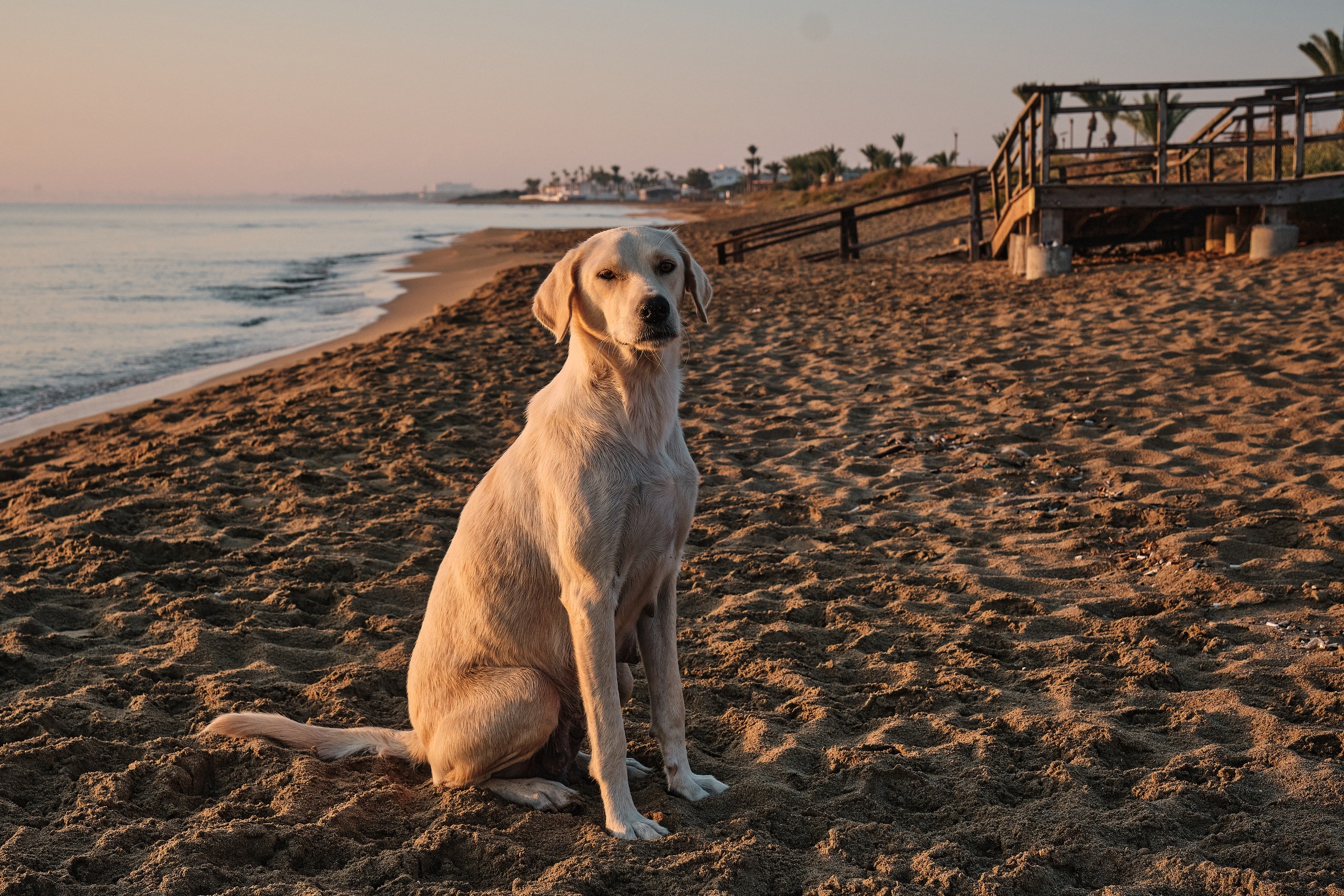 Northern Cyprus >2022. Aleksandr Kobtsev