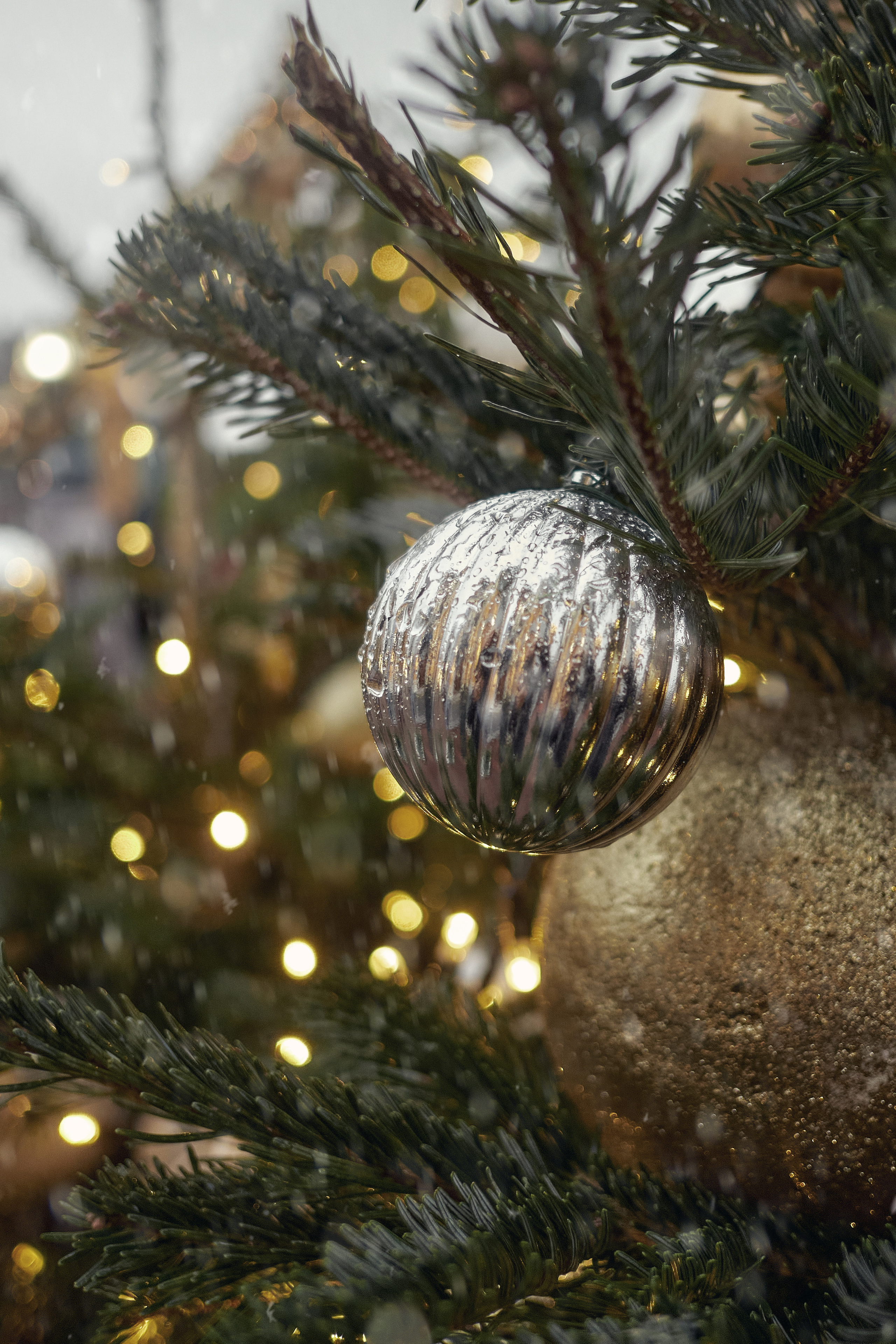 Winter 22/23. Aleksandr Kobtsev