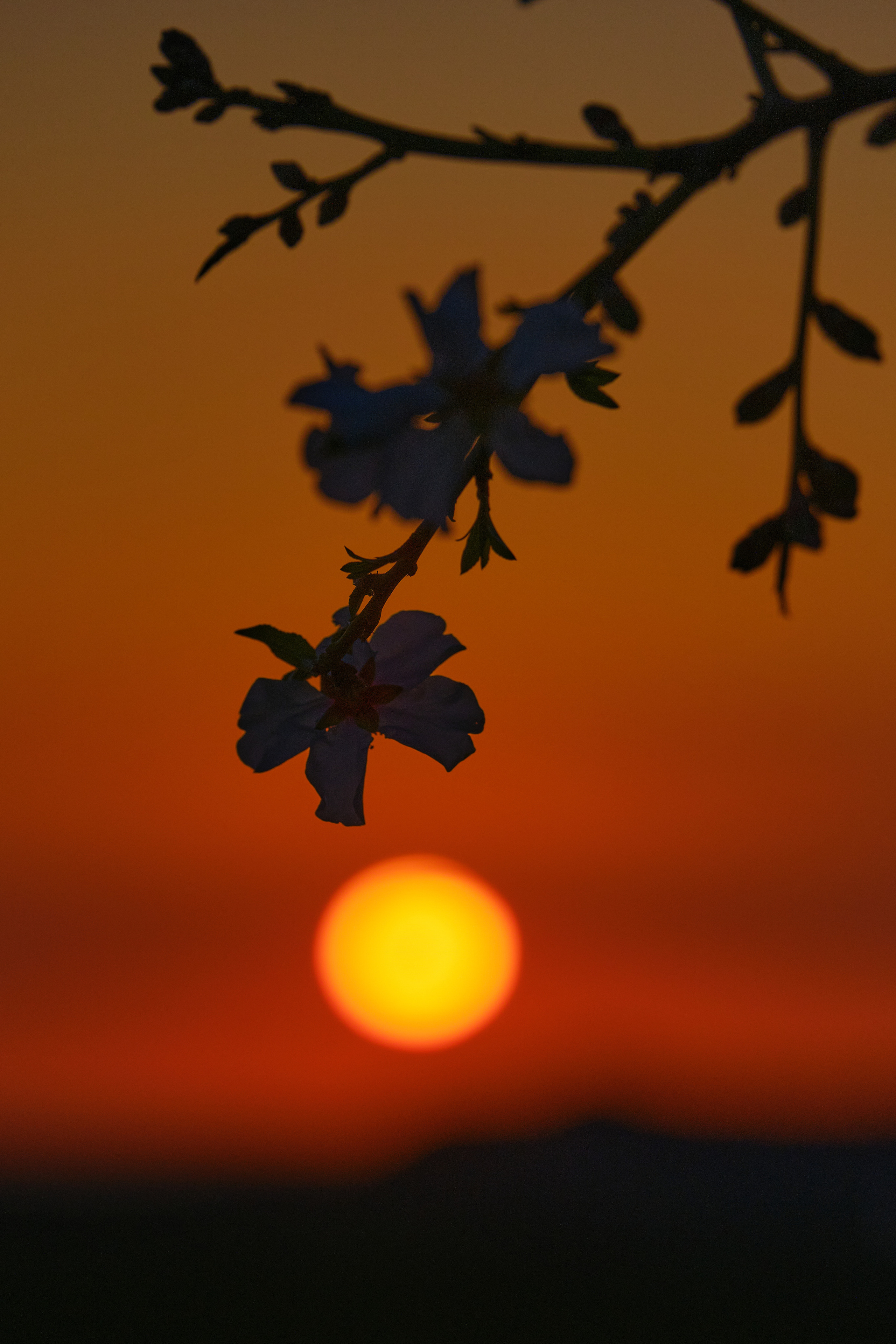 Cyprus 2023 / february. Aleksandr Kobtsev